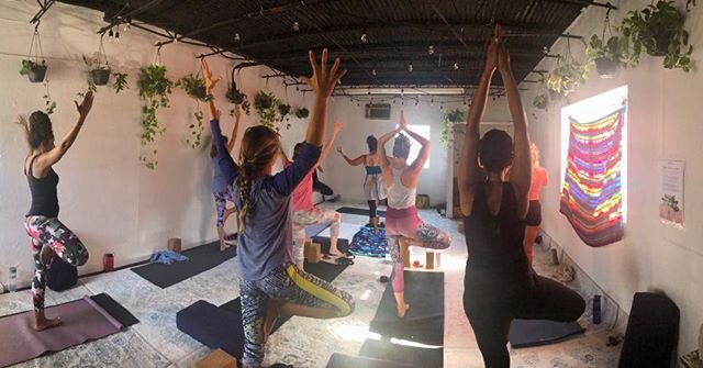 These 🌲 🌳 🌴 at Breathe St Thomas. Grounded, rooted, flexible, reaching for the light; your innate light within. Come as you are, I&rsquo;ll meet you there... Fri and Sat at 9:00 am🙏❤️😊