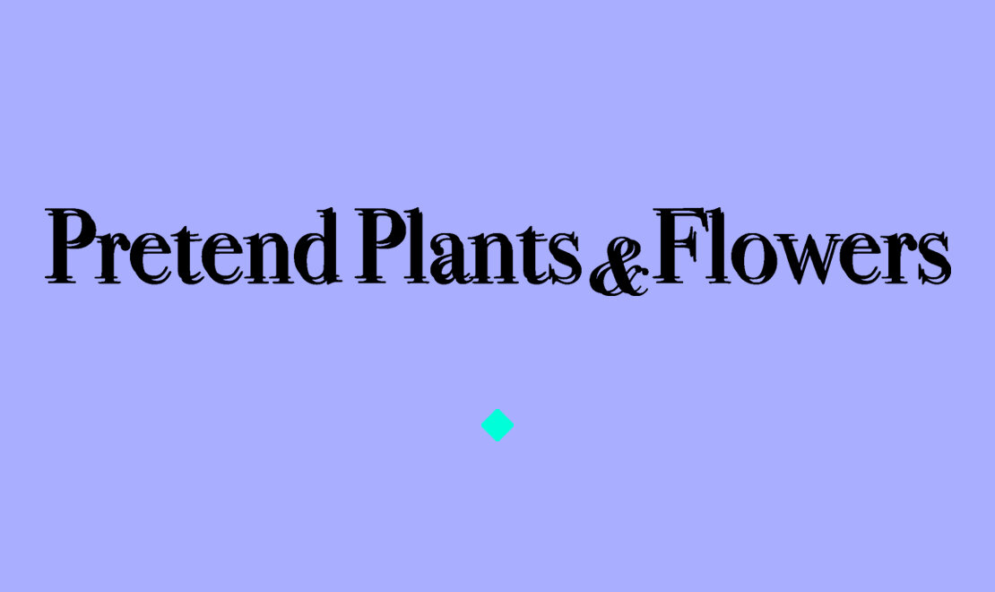 Pretend Plants &amp; Flowers