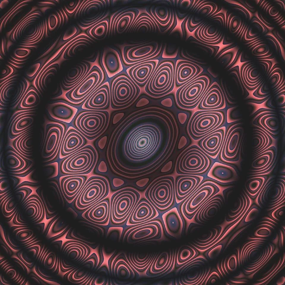 53556637_10101524038376676_2721700902661521408_n.jpg