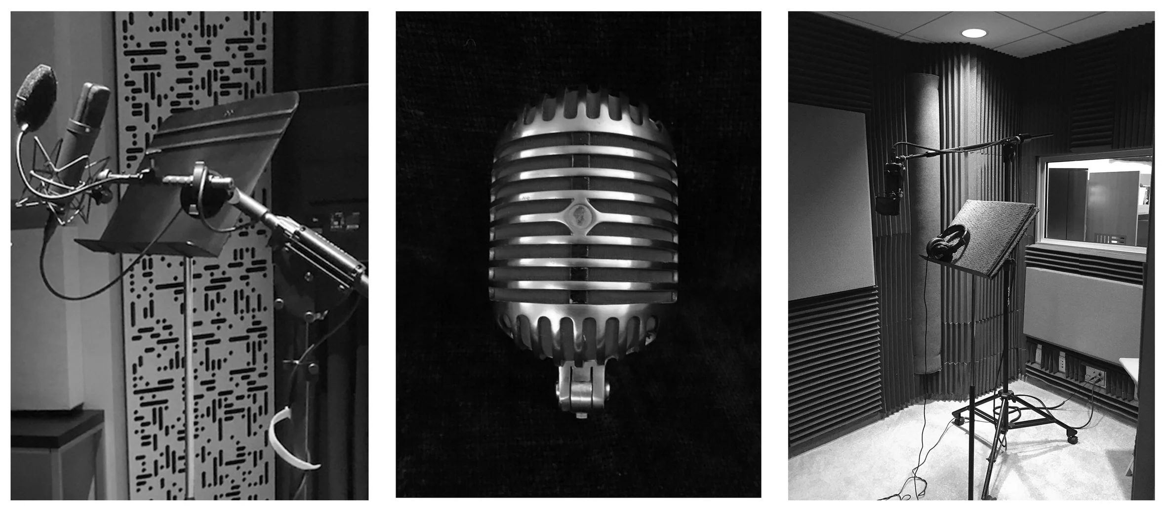 VoiceOver3.jpg