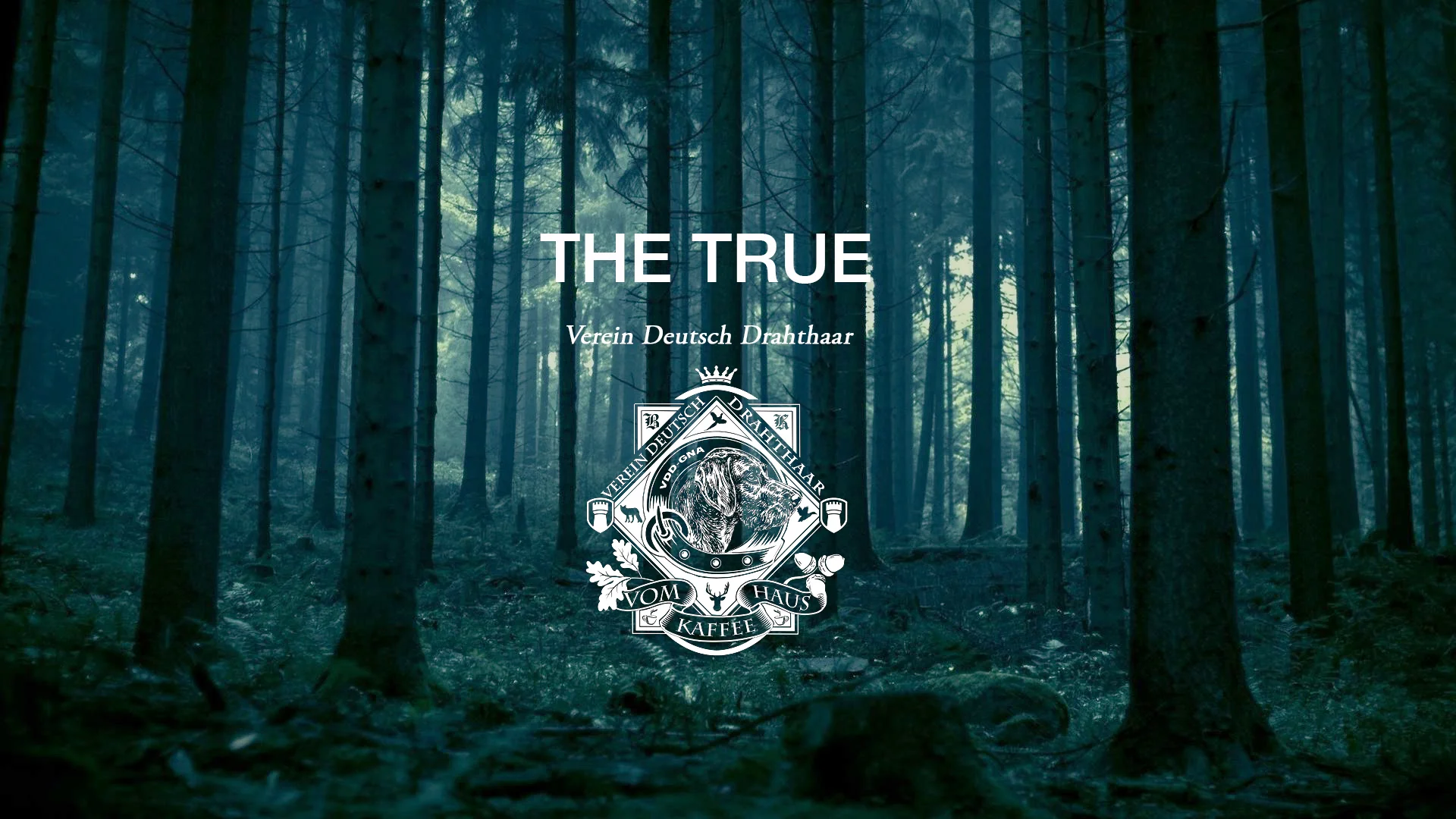 Deep forest image_VKH.jpg