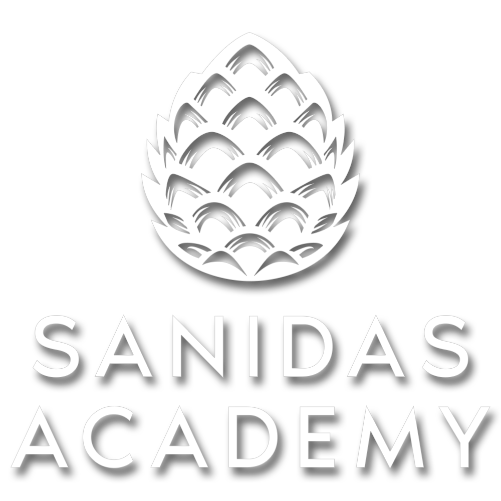 sanidas logo 5.png