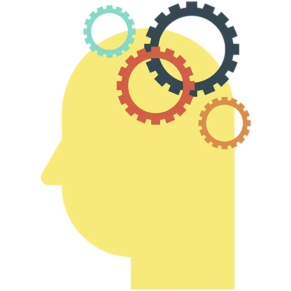 The Forgetting Curve &amp; American Education