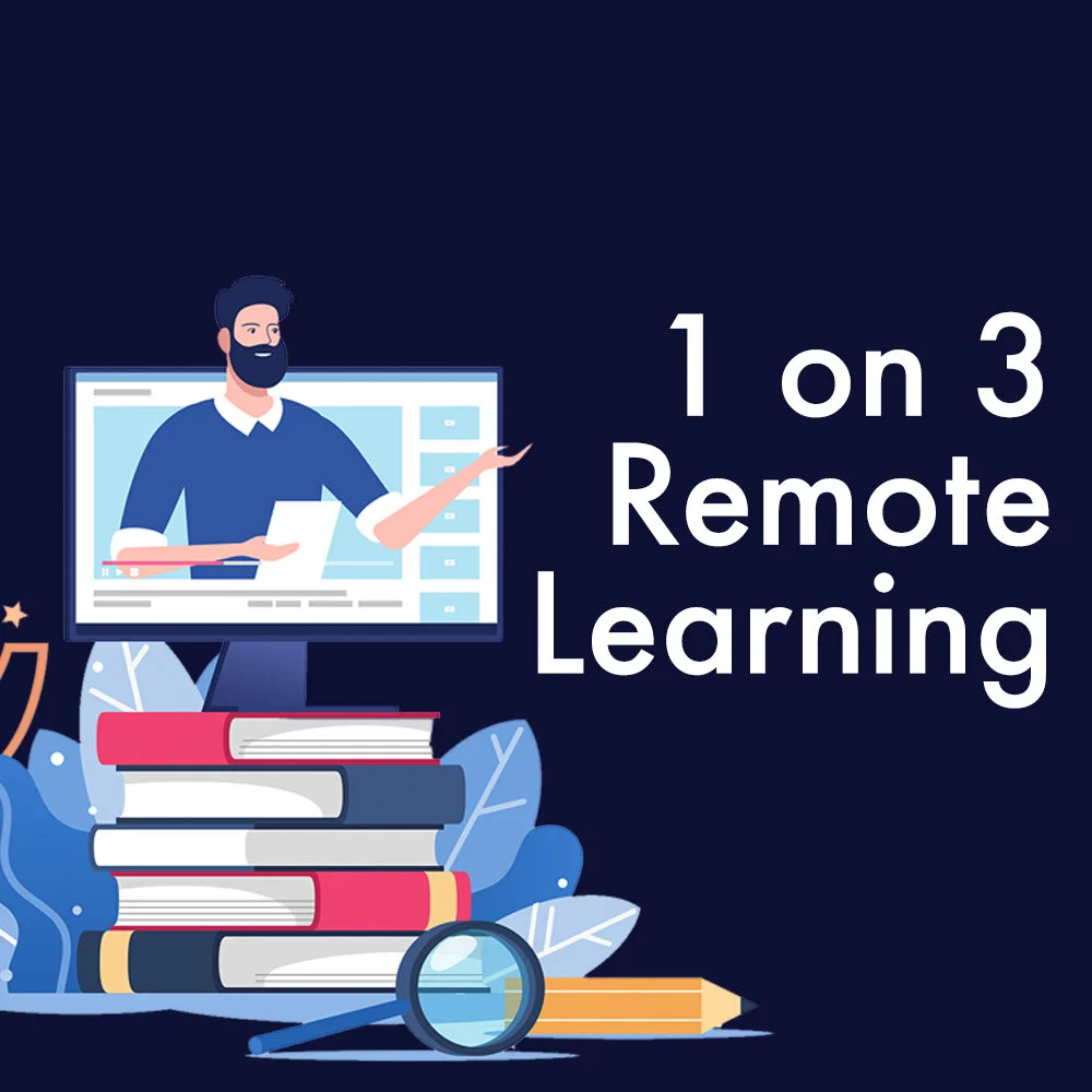 1 on 3 Remote Tutoring