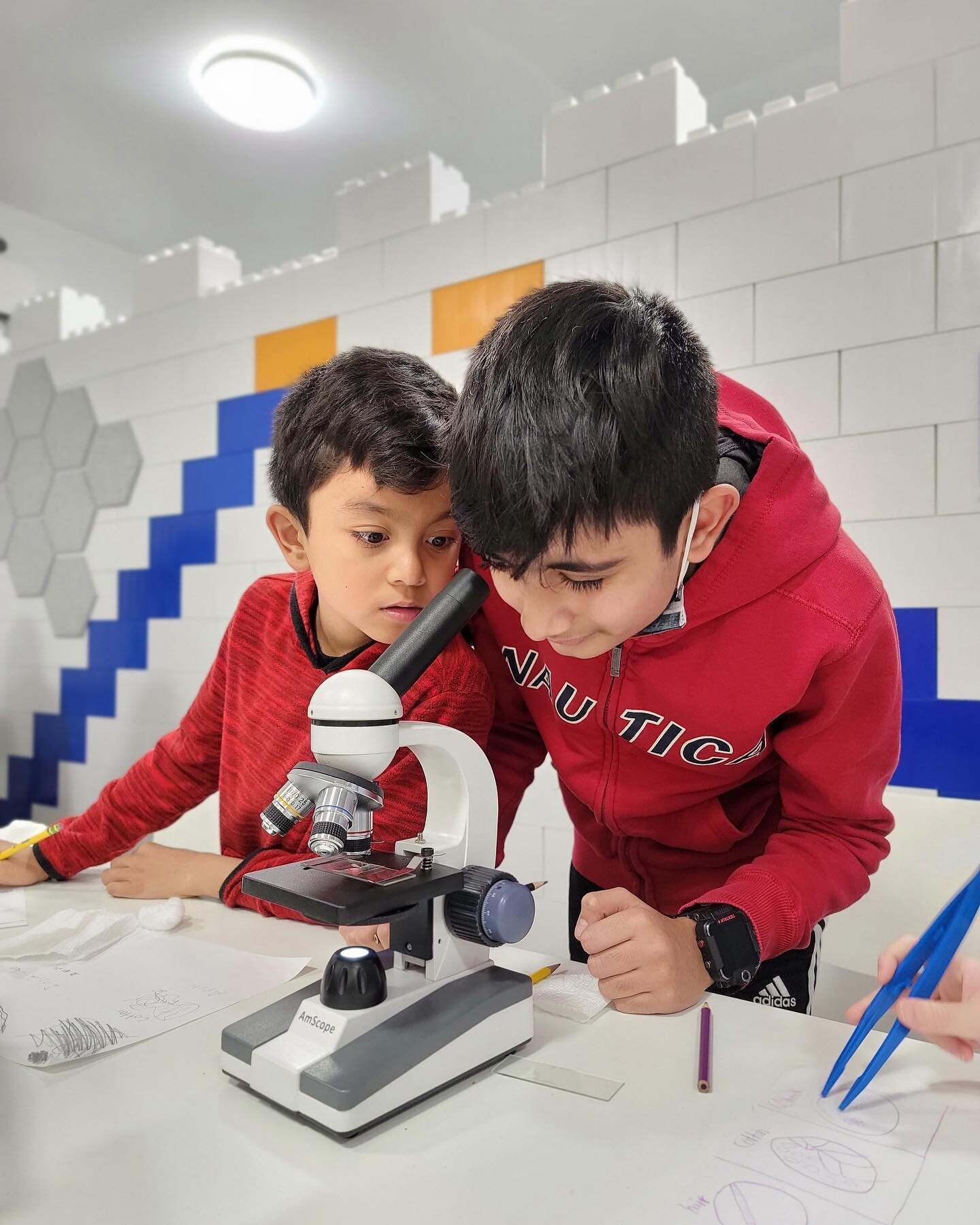 That&rsquo;s a wrap for our Microbiology Mid-Winter Camp! Our students learned about plant and animal cells, bacteria, microscopes, and even made their own slides out of apple skin, and even hair! Great job guys!