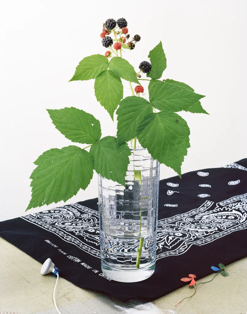 Labatte_Raspberries.jpg
