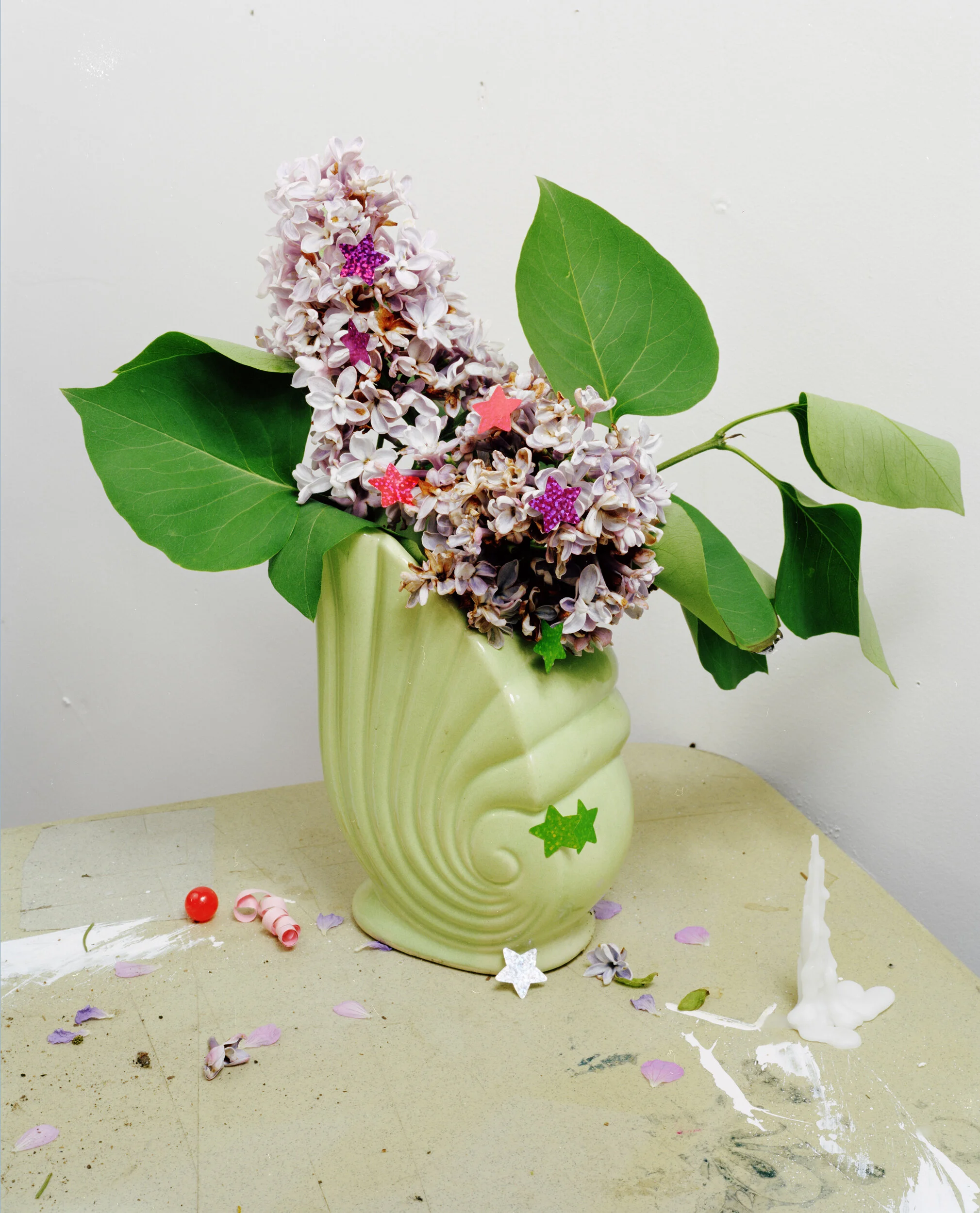 Almanac for Shade Gardeners — Jessica Labatte