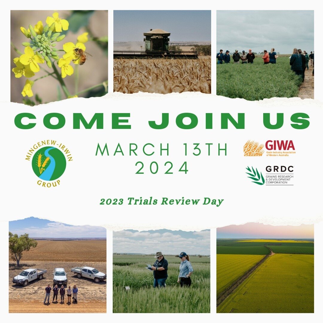 🌾🌾SAVE THE DATE🌾🌾
Please join us for the MIG AGM and Trials Review Day on Wednesday the 13th of March 2024. 
Our AGM will commence at 9:00 am with morning tea to follow. The 2023 Trials Review will commence at 10:30 am. 
Agenda and more informati