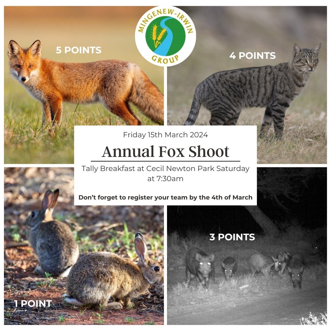 2024 Fox Shoot

Just a reminder that if you haven't registered a team for the Fox Shoot, to please do so by Monday the 4th of March.

Please contact Montana via admin@mig.org.au or 0499 245 463 to register your team!