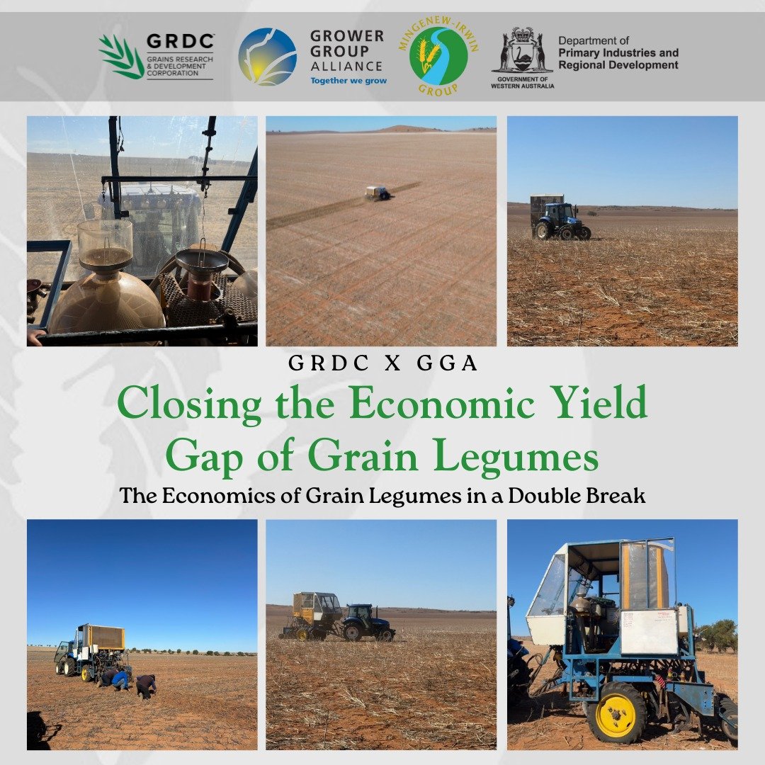 Mingenew, Three Springs &amp; Northampton &ndash; Trials are in the ground! 🌱

Our 2025 trials for the GRDC x GGA Closing the Economic Yield Gap of Grain Legumes in WA project are now underway, with seeding completed across all three sites.

In resp
