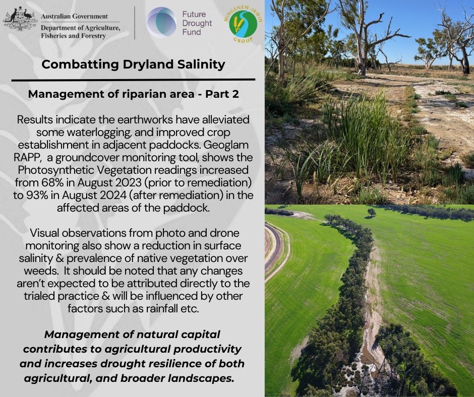Combatting Dryland Salinity - Management of Riparian Area - Part 2. Another demonstration funded through the Future Drought Fund: Drought Resilient Soils and Landscapes Program  Australian Department of Agriculture, Fisheries and Forestry  #futuredro