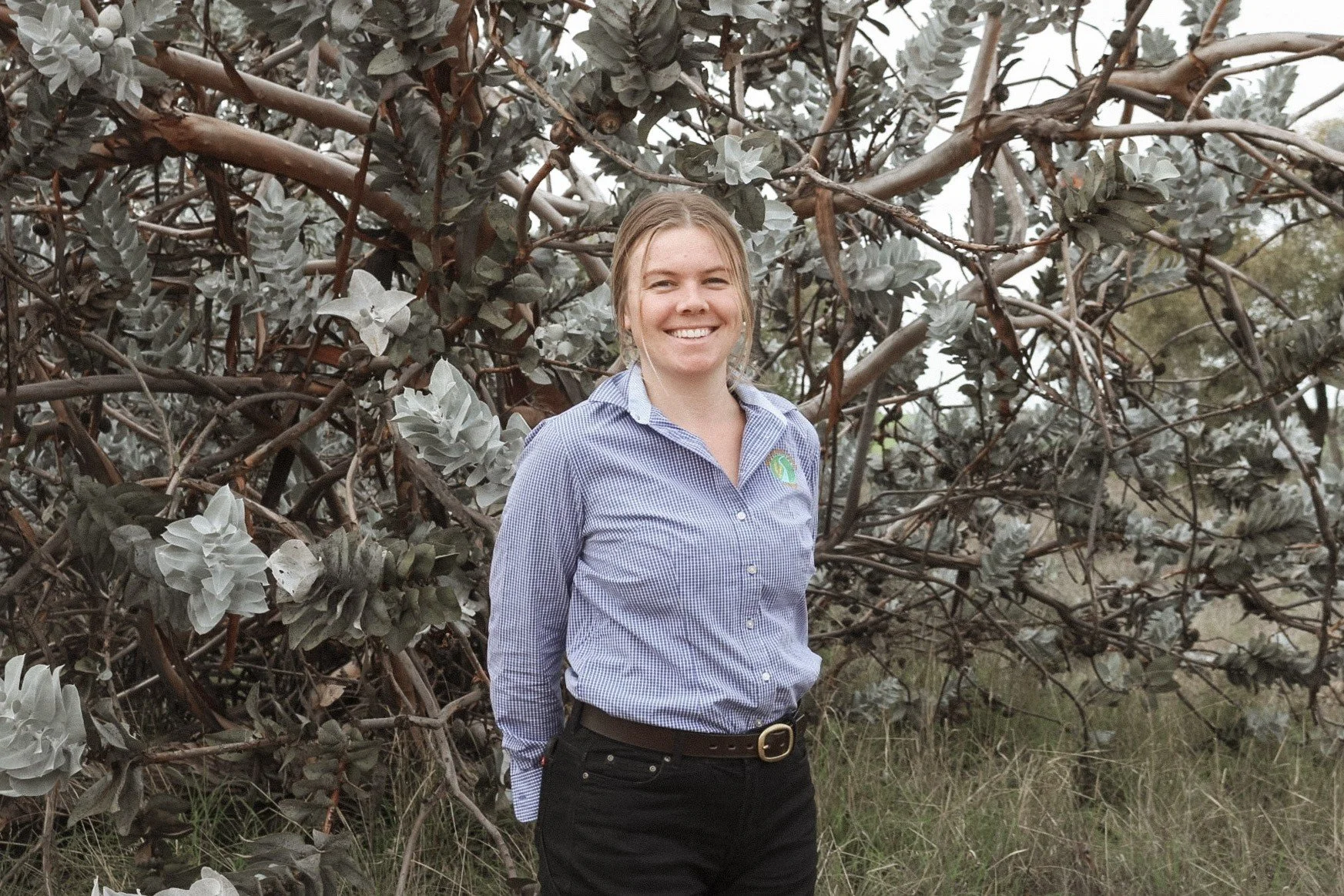 🌾🌾Introducing Steph🌾🌾

We&rsquo;re excited to welcome Steph to the Mingenew-Irwin Group as our new Research &amp; Development Manager.

Born in Geraldton, Steph has a strong passion for agriculture and regional communities. She is completing a Ba