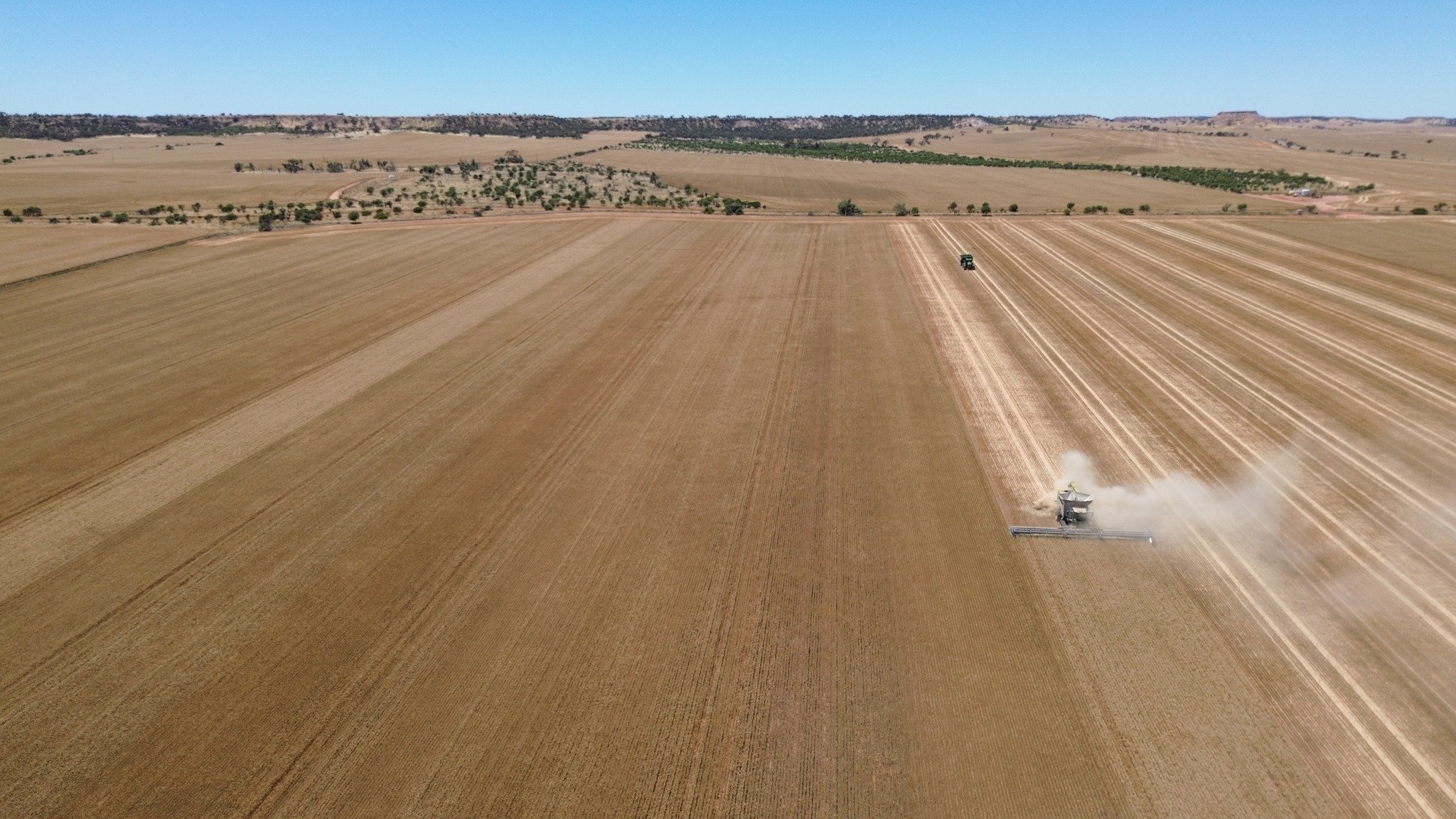 🌾MIG&rsquo;s first wheat demonstration for 2025 has been harvested, marking the start of another busy harvest season across the region.
We&rsquo;d like to wish all our growers a safe, productive and successful harvest. 🌾