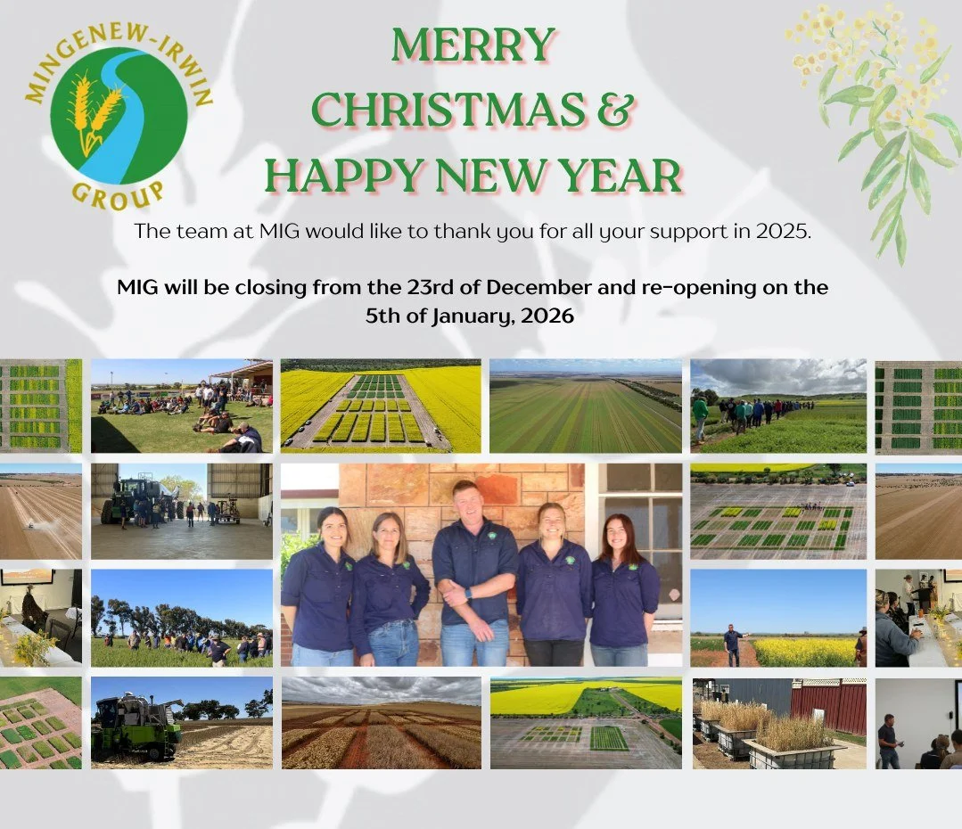 Merry Christmas &amp; Happy New Year! 

Wishing everyone a safe and happy festive season. 🎄
Thank you for your continued support throughout the year, we look forward to what&rsquo;s ahead in 2026.

MIG will be closed from 23rd of December 2025 reope