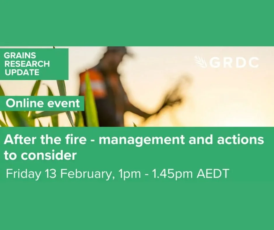 GRDC Grains Research Update Online &ndash; After the fire &ndash; management and actions to consider

Michael Brougham, Brougham Ag, SA
Andrew Barr, grain grower, Pinery SA

This summer has so far seen intense wildfires in several grain growing regio
