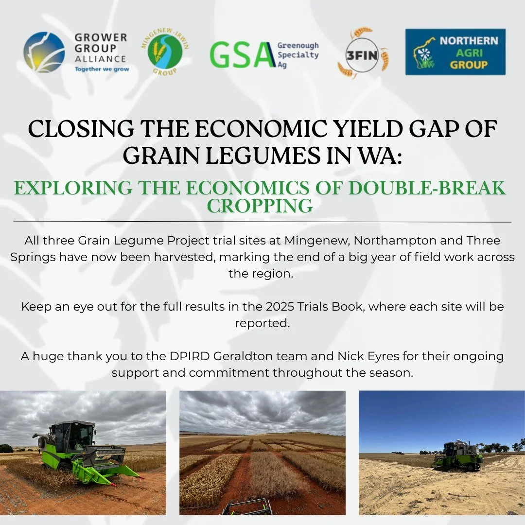Harvest has been completed across all sites! 🌾

All three Grain Legume Project trial sites at Mingenew, Northampton and Three Springs have now been harvested  wrapping up a big season of field work exploring the economics of double-break cropping in