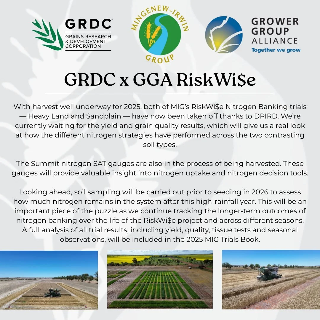 Both of MIG&rsquo;s RiskWi$e Nitrogen Banking trials (Heavy Land &amp; Sandplain) have now been harvested, thanks to Department of Primary Industries and Regional Development.

We&rsquo;re now waiting on yield and grain quality results to see how the
