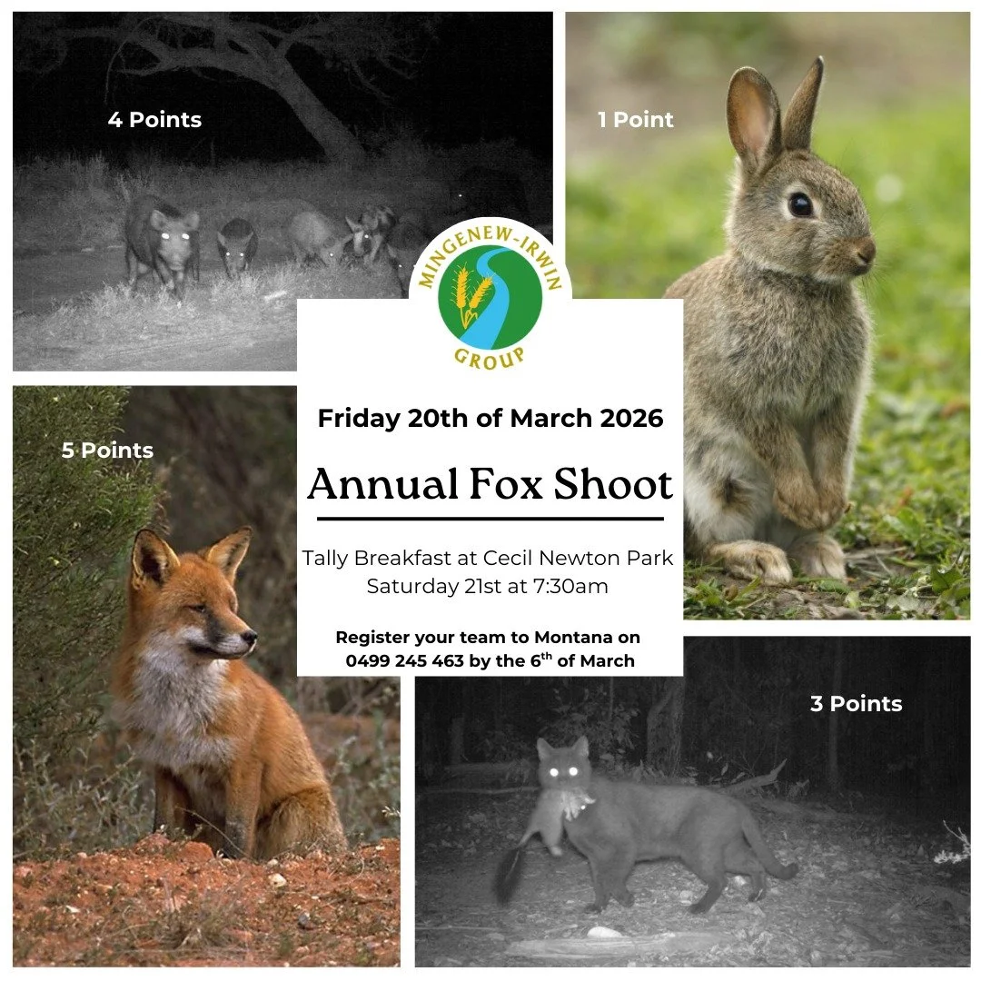 🦊2026 Fox Shoot 🦊

Just a reminder that if you haven't registered a team for the Fox Shoot, to please do so by Friday 6th of March.

Please contact Montana via research@mig.org.au or 0499 245 463 to register your team!