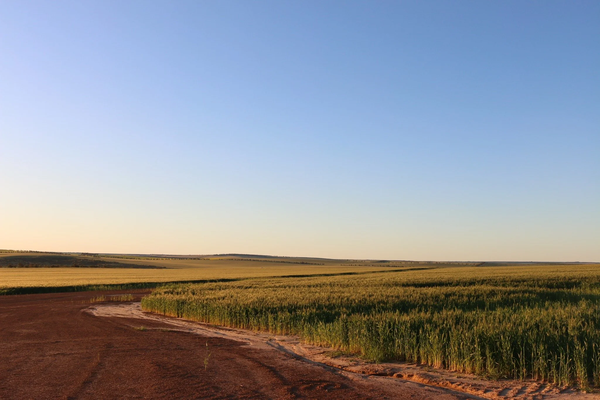 🌾🚙On the road with MIG🚙🌾

A massive thank you to everyone who attended our Trials Tour on the 10th of September. An extra special thank you to all our sponsors Bevan from Adama, Luigi from CSBP and Rachel from BASF and those who donated door priz