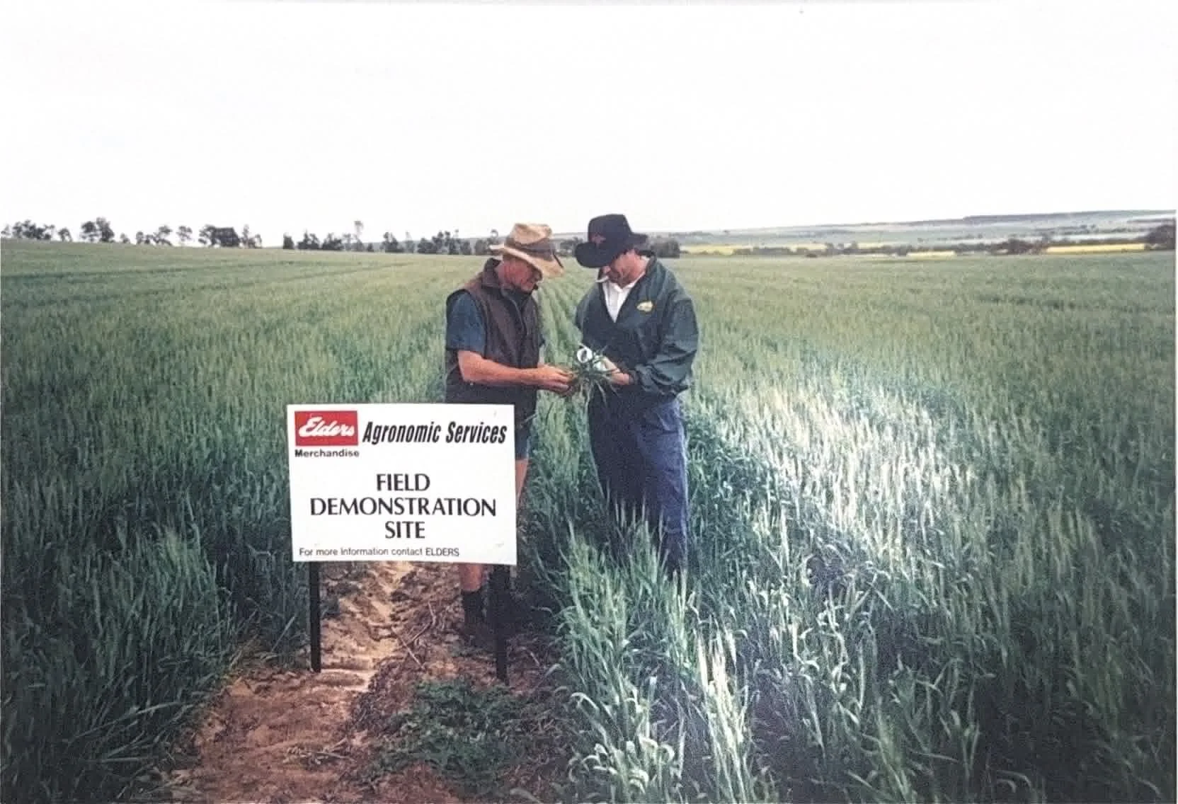 THROWBACK THURSDAY 

Take a trip back to the 1997 MIG Spring Field Day! 🌾📸

Coming up to 3 decades of research, innovation, collaboration and community and it all started with days like these.

Can you spot anyone familiar in the photos?