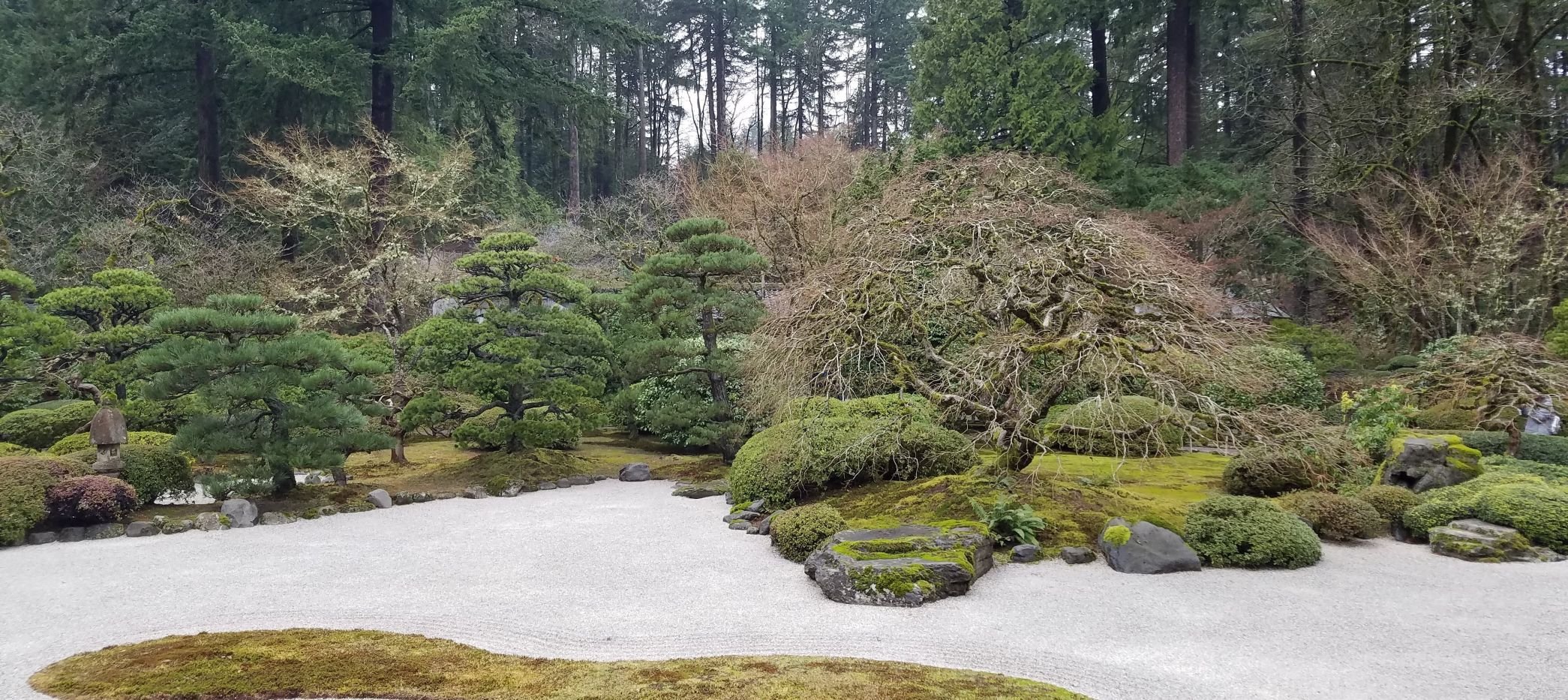 Zen garden.jpg