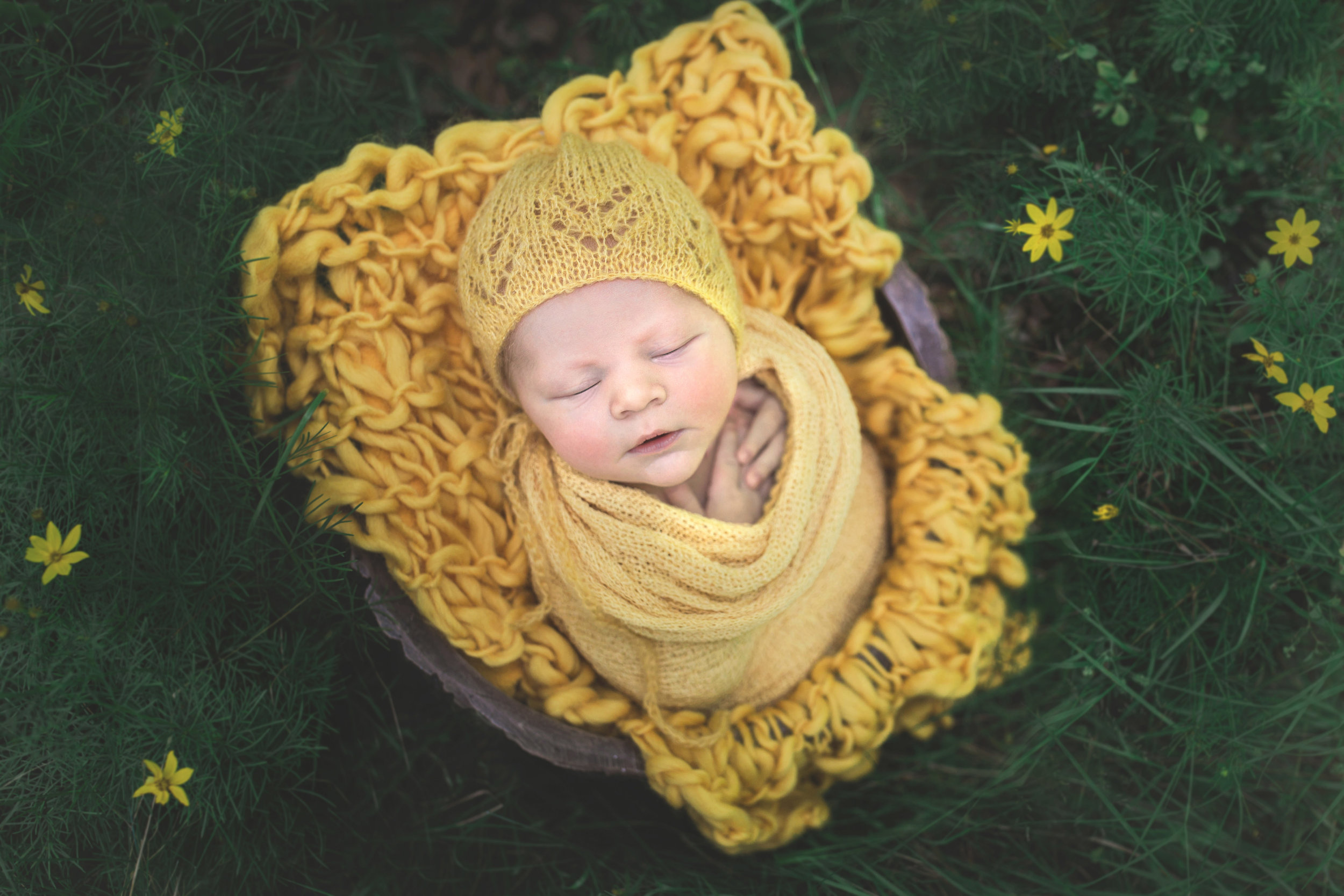 Ebensburg newborn photographer (2).jpg