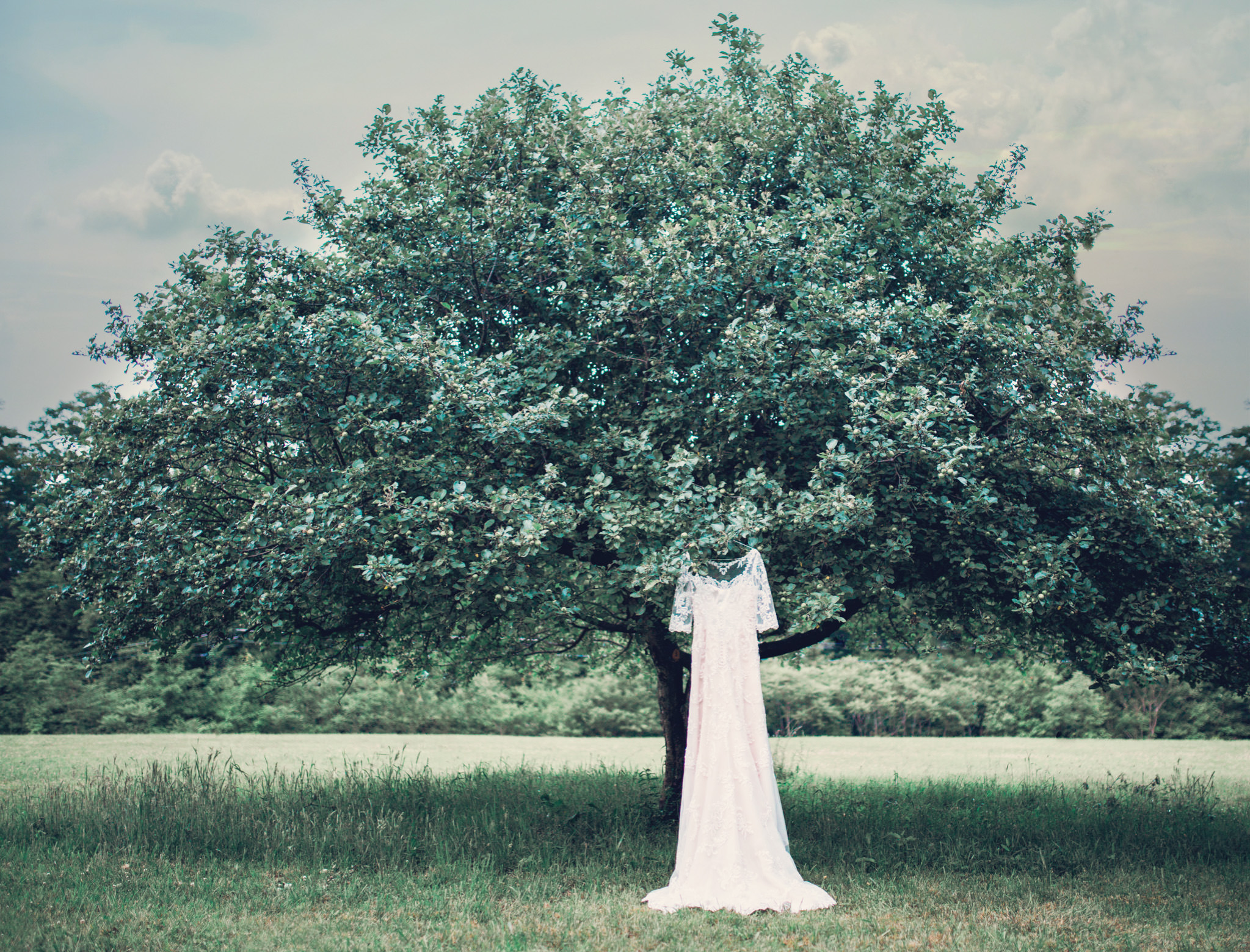 Pennsylvania vintage wedding orchard (1).jpg