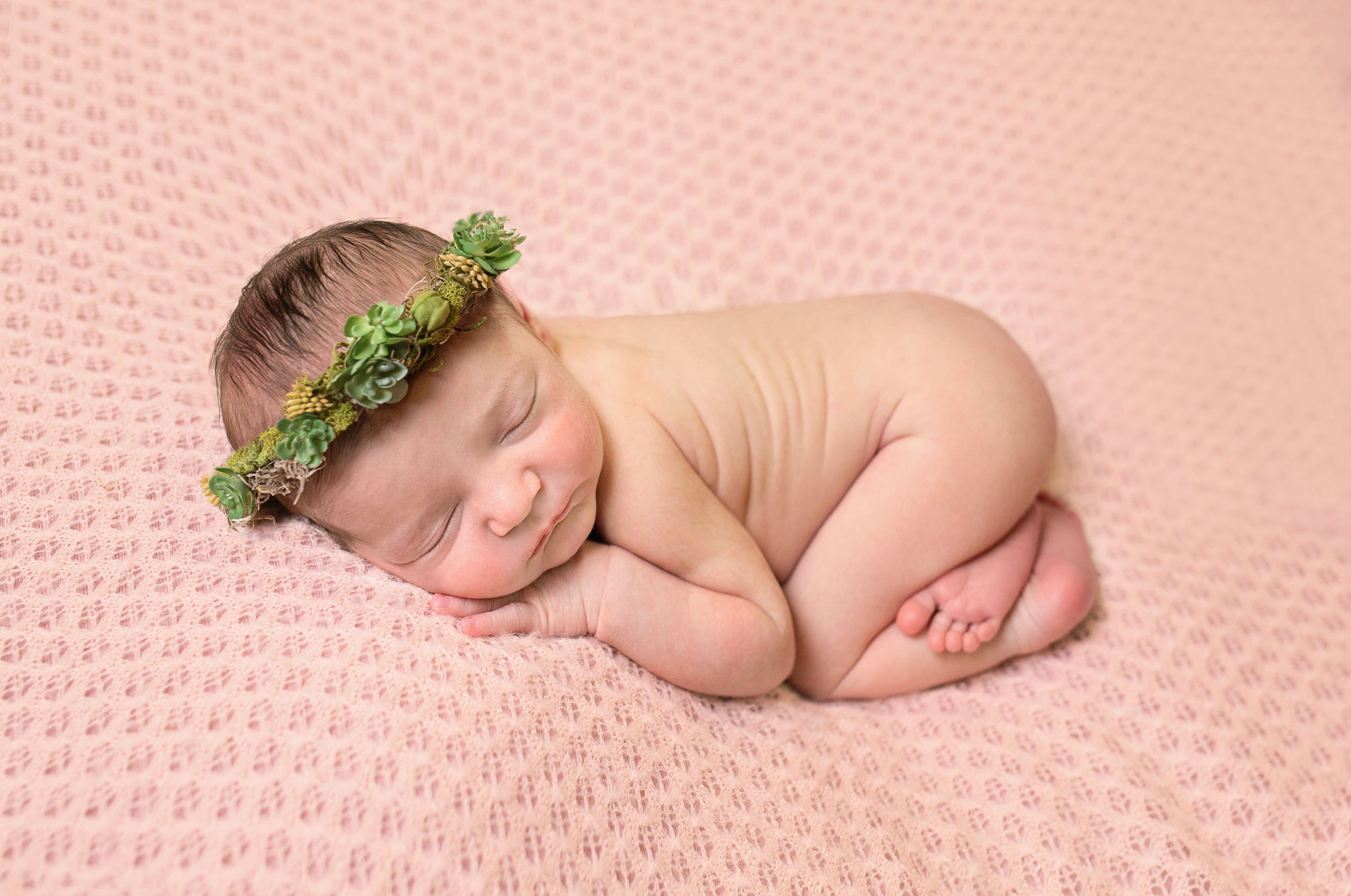 Ebensburg Altoona Pa newborn baby Cresson photographer_ Emery succulents (8).jpg