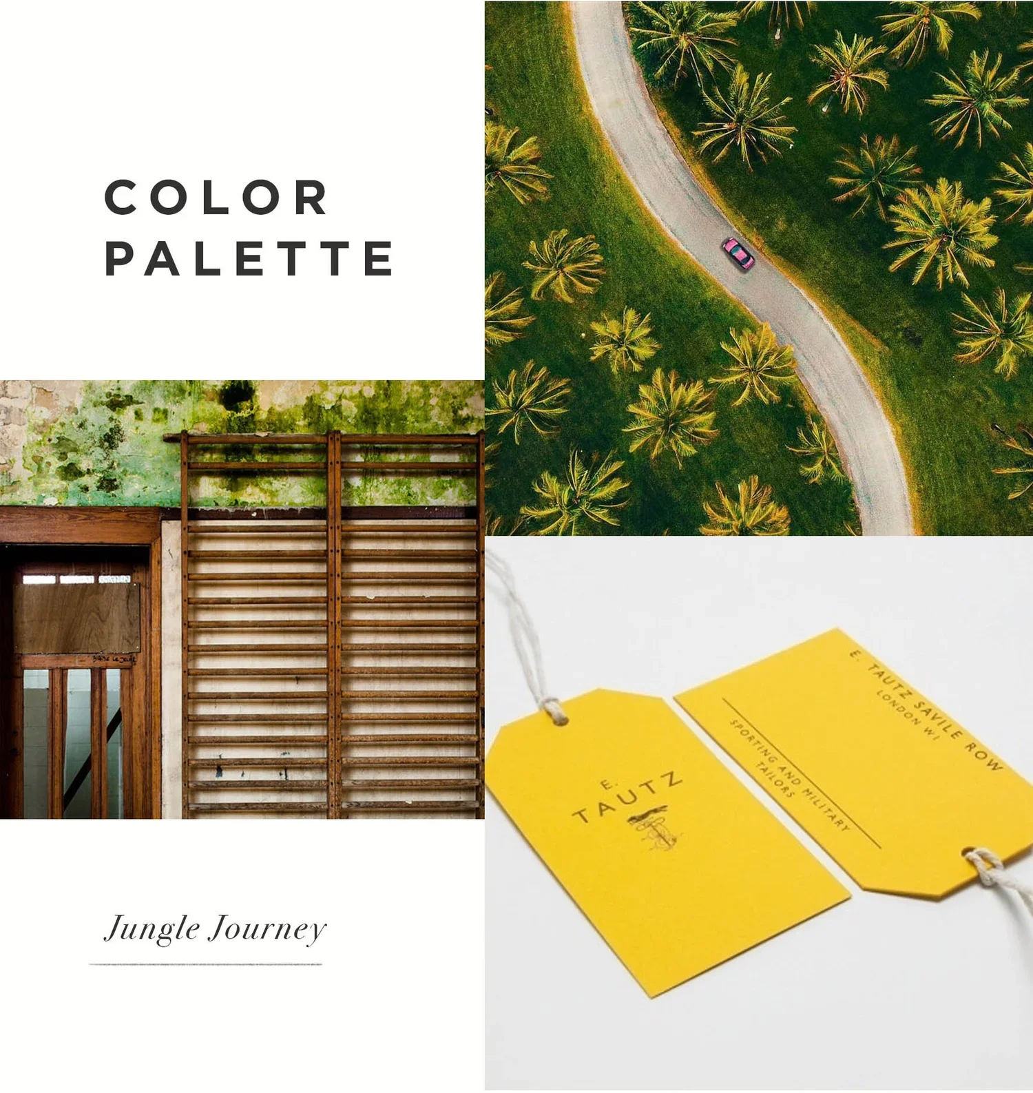 ColorPalette_06b.jpg.webp