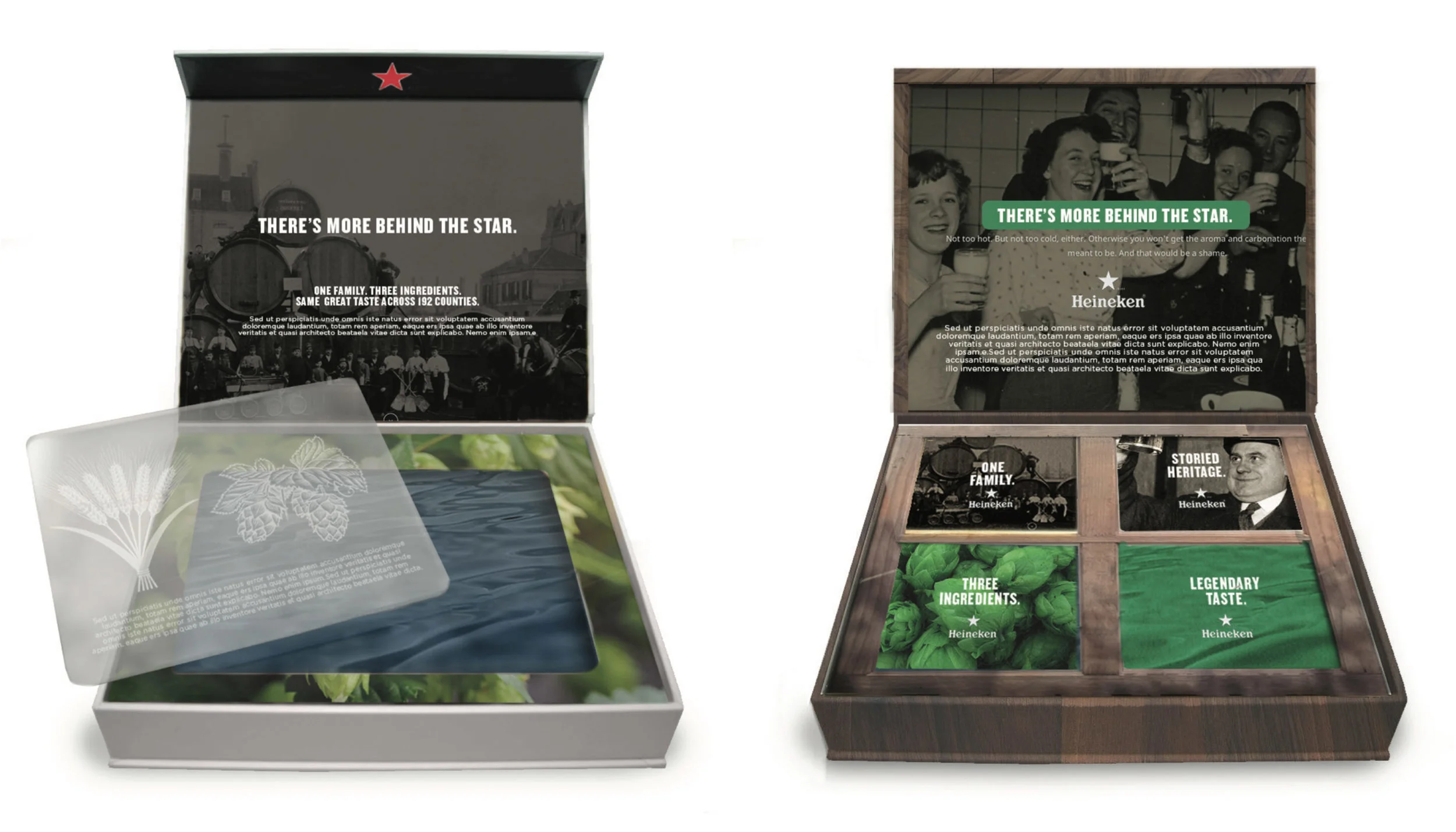 heineken_presskit3.jpg