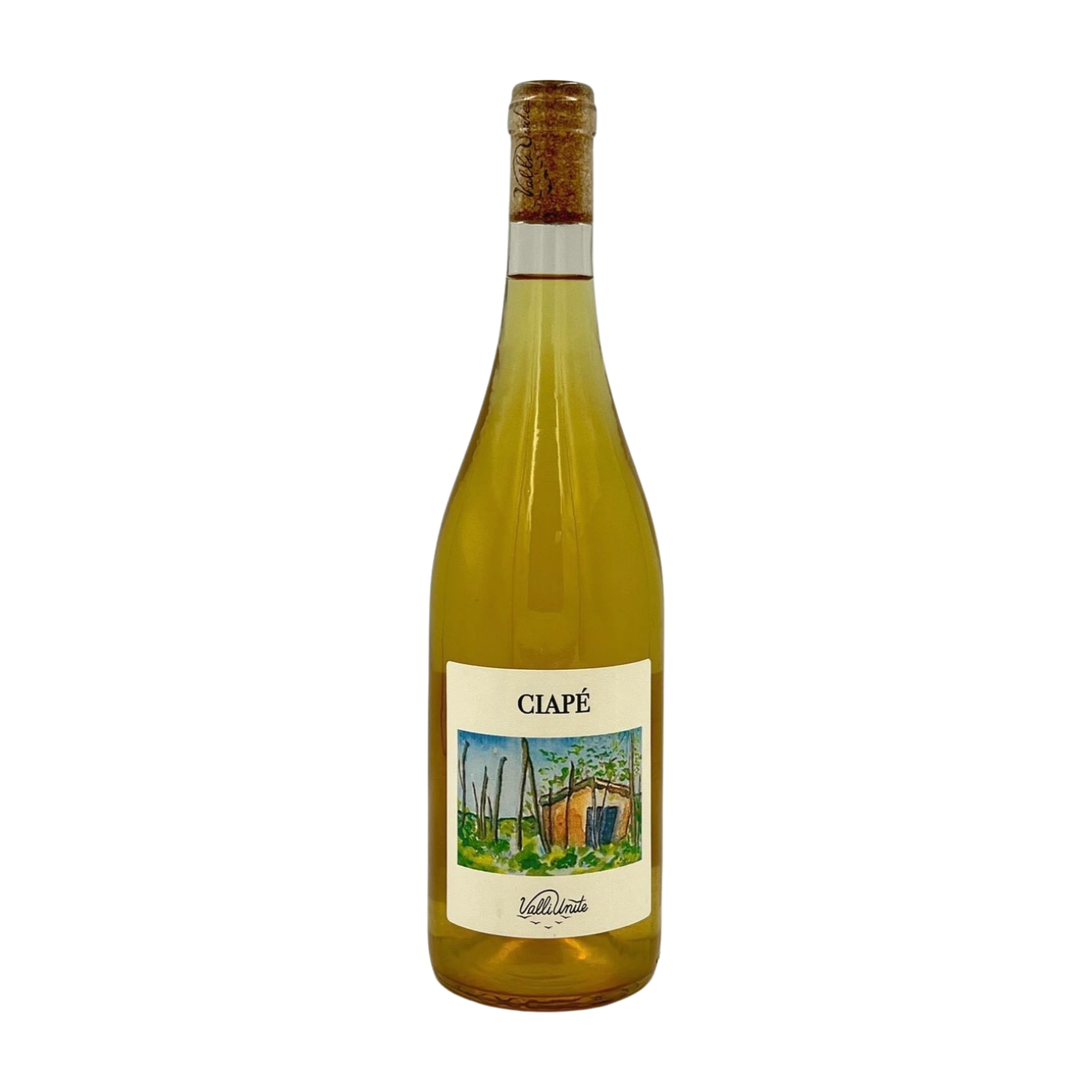 2023 Valli Unite - Ciape No SO2