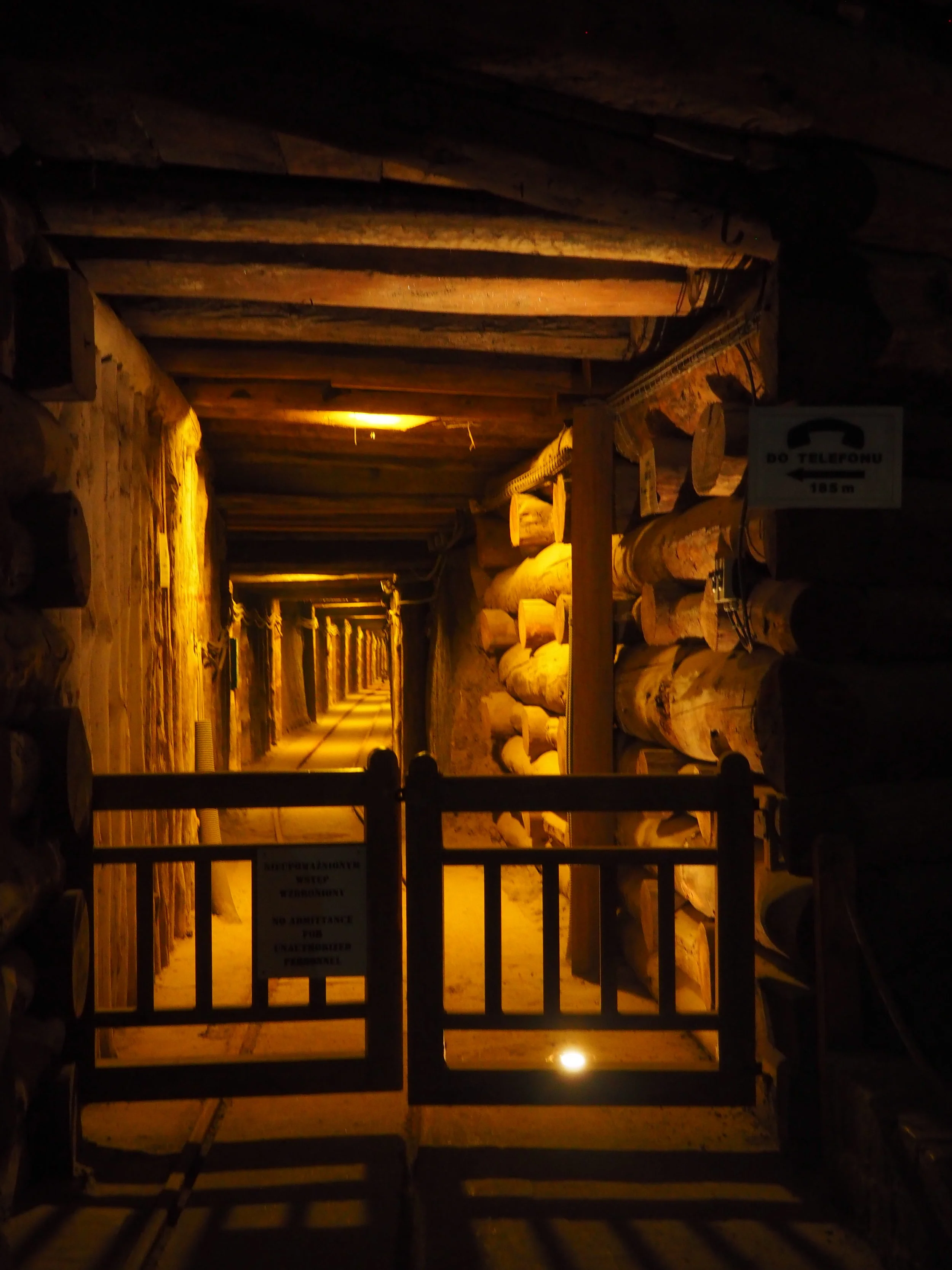 PA024028.JPG