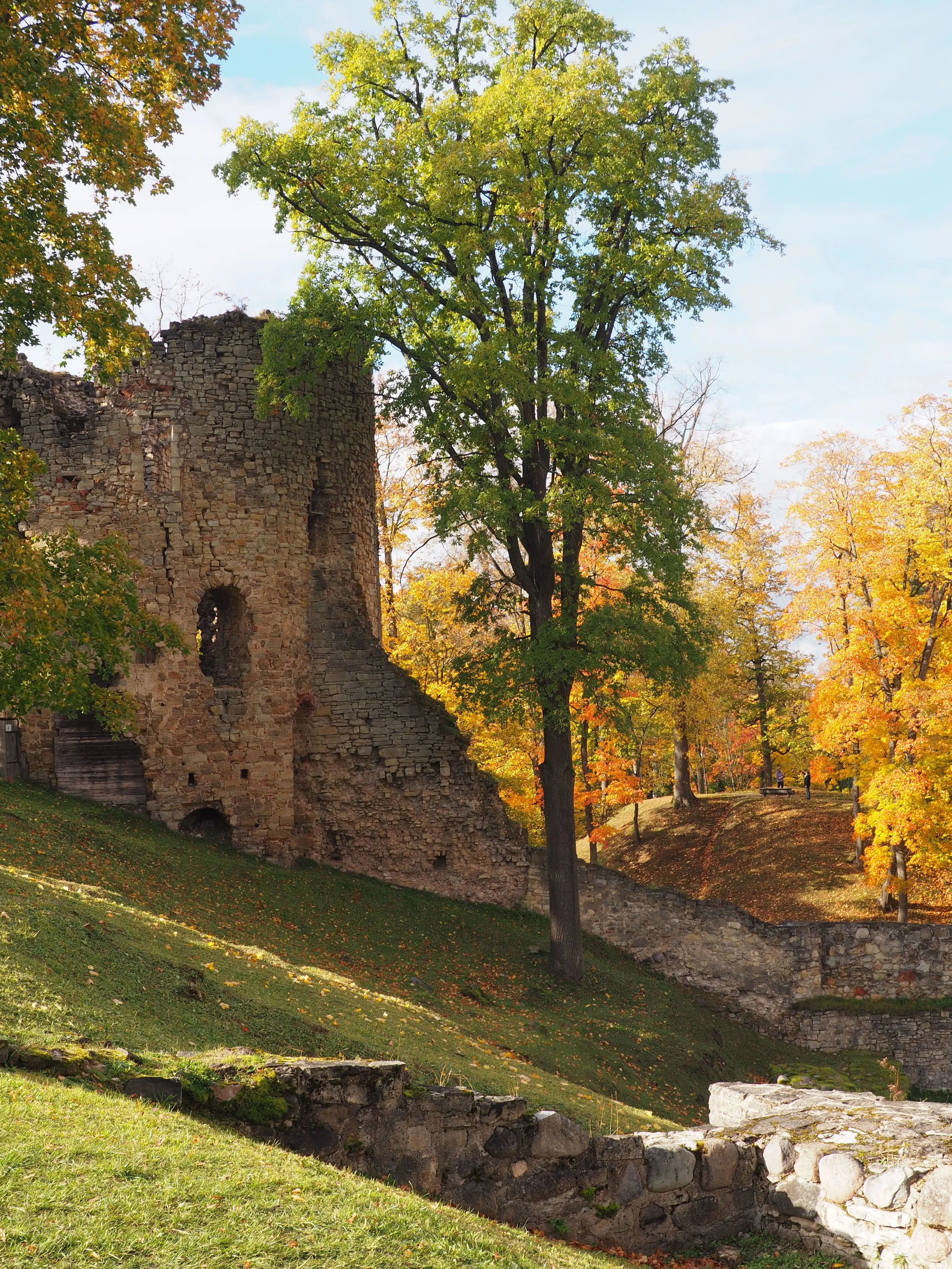 PA084144.JPG
