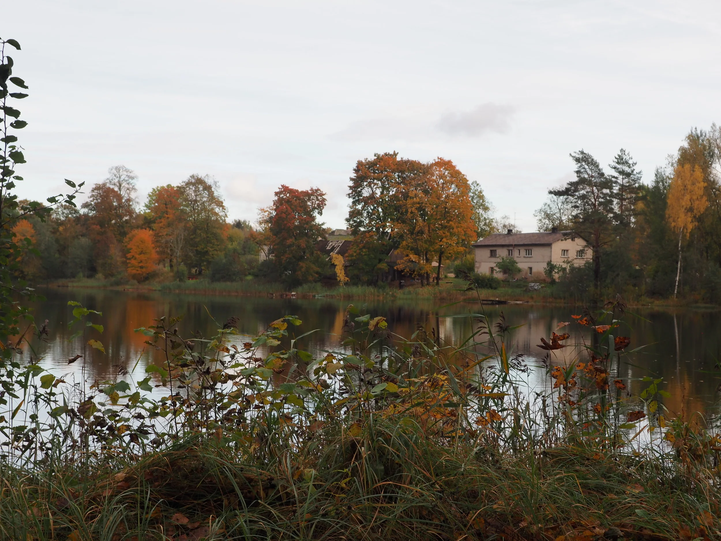 PA084177.JPG