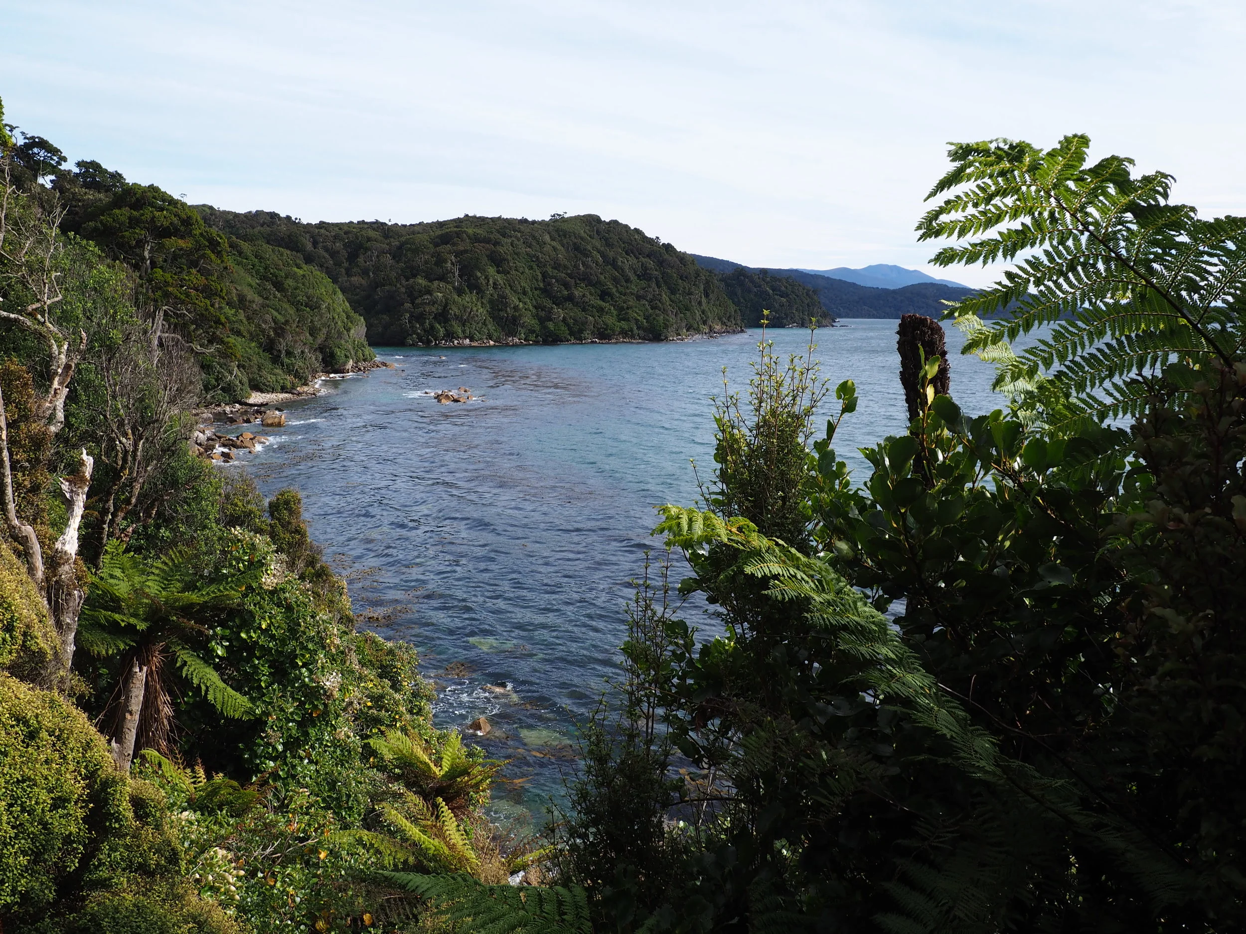 Rakiura Track