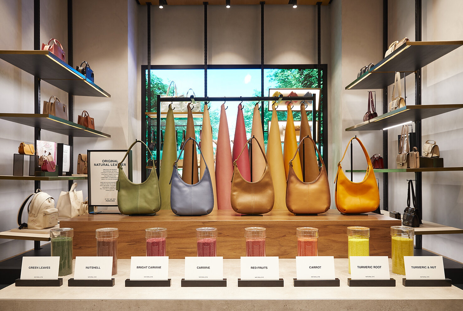 COACH_QVB_2021_04_004A6486.jpg