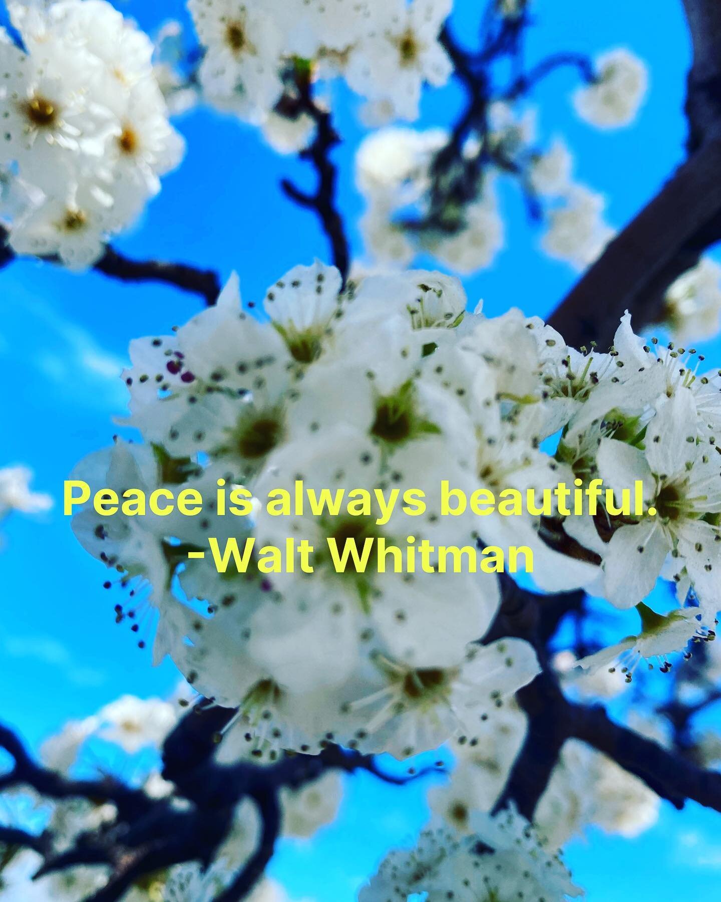 Whitman who identified as a humanistic, conceived of peace as an art-form. Einstein spoke of peace as he did most things, scientifically. As a psychologist, I conceptualize of peaceful practices as both art and science.
Diminished peace literally al
