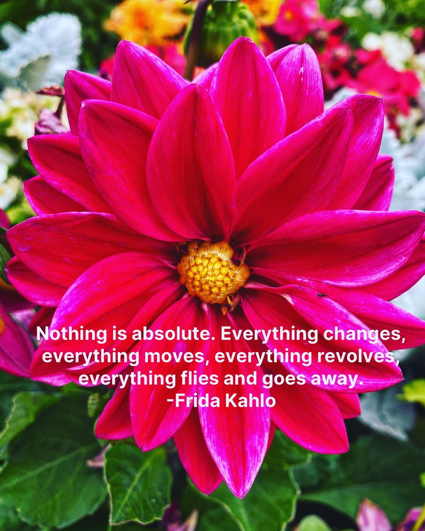 When waves of change and impermanence come flying your way like a nor-Easter, it’s natural to at first buckle-down into fear. While change has been a constant since time was a factor, we still resist against it mightily (self included on this o