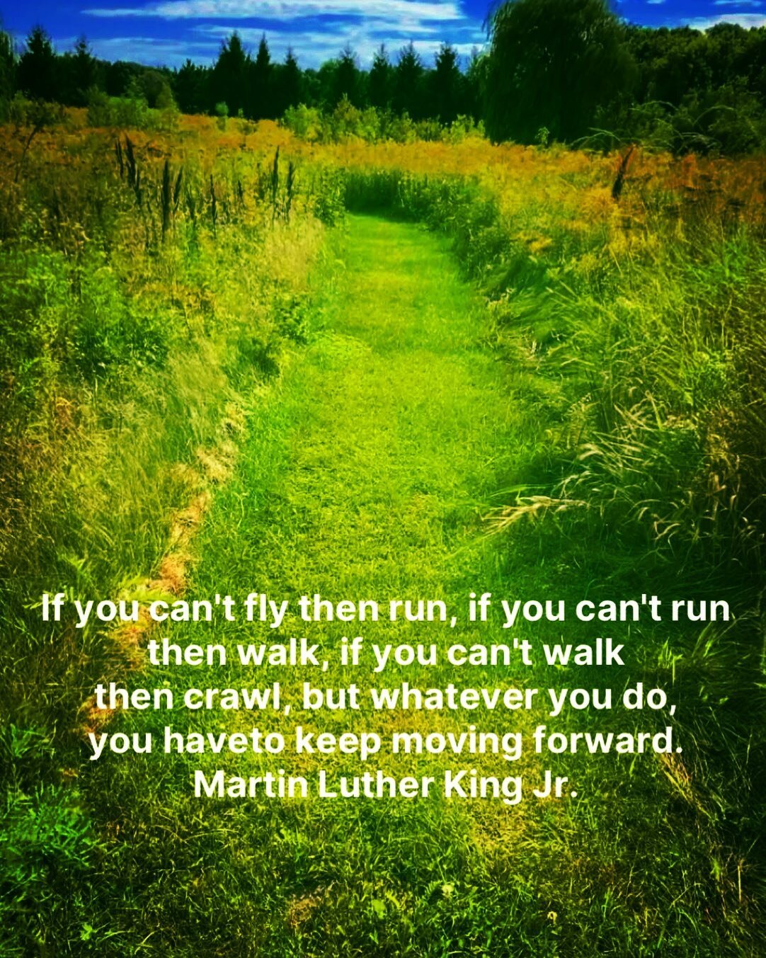 Keep moving forward. #martinlutherkingday .
.
.
.
.
.
.
.
.
.
.
#martinlutherking #mlkday #mlk #mlkjr #moveforward #motivationalquotes #thepathforward #bostonuniversity #drmartinlutherkingjr #therapistsofinstagram #mlkquotes