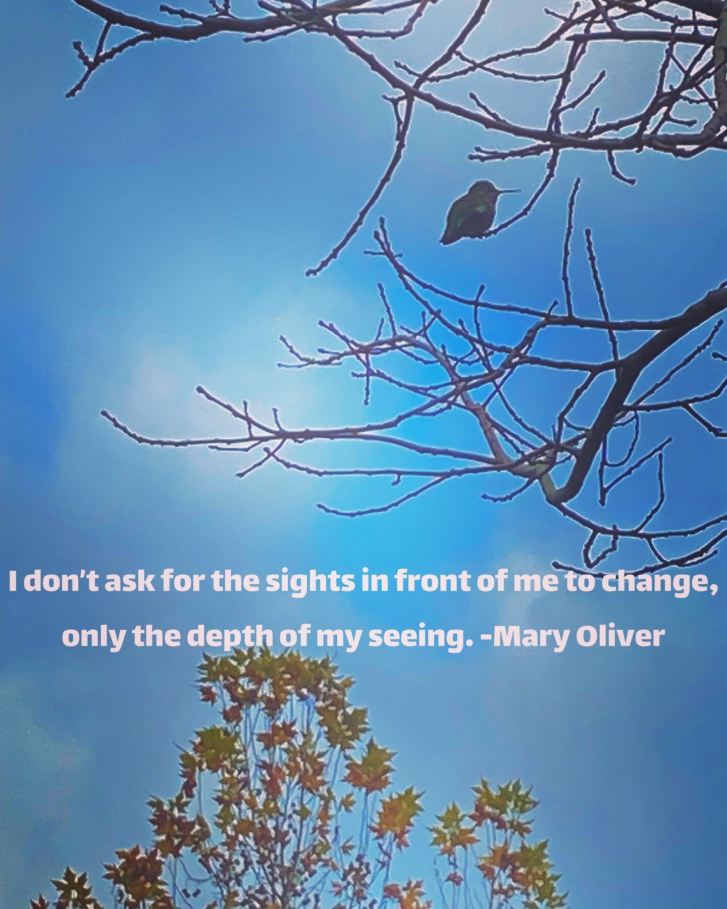 I have always looked towards the sky. When I was little, I reportedly stuck my head out the car window towards the sun. I associated clouds with Midwestern tornado drills and/or the loss of a sun-struck day. I still look to the sky. However, that whi