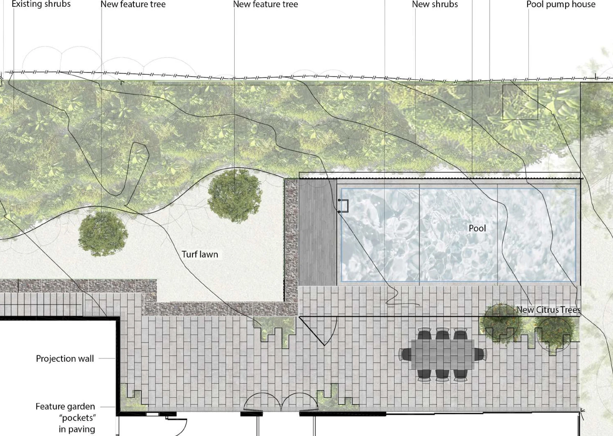 chapman closeup .jpg