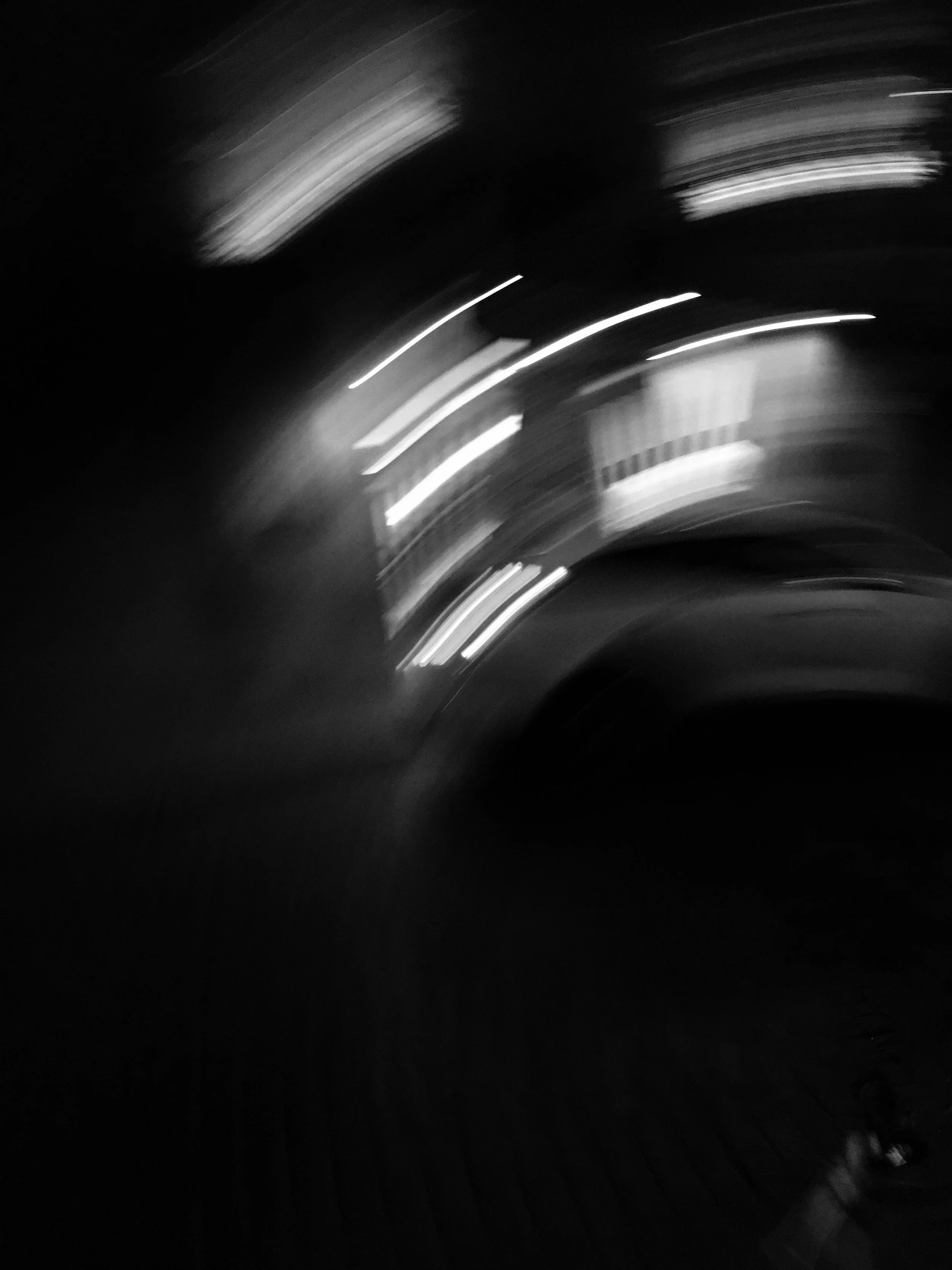 IMG_1557.jpg