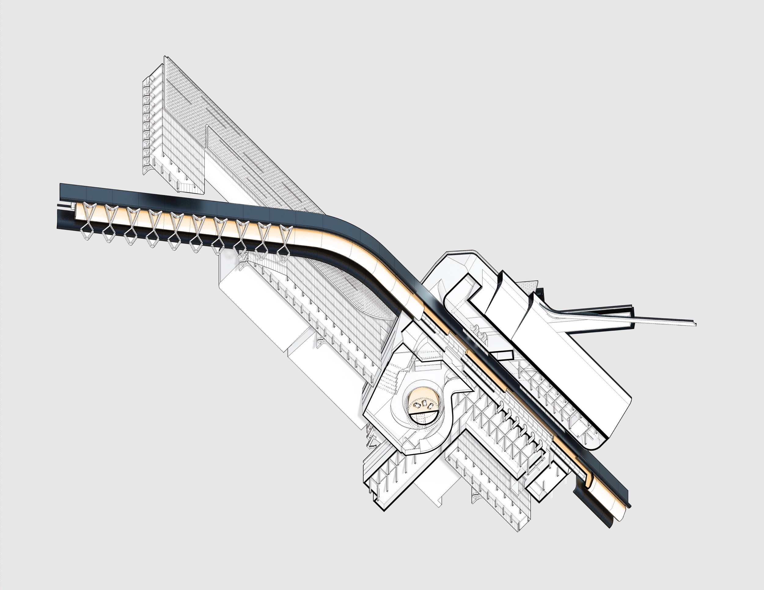 20180414_TF_Showroom WORMSEYE VECTORS [Converted]-01.jpeg