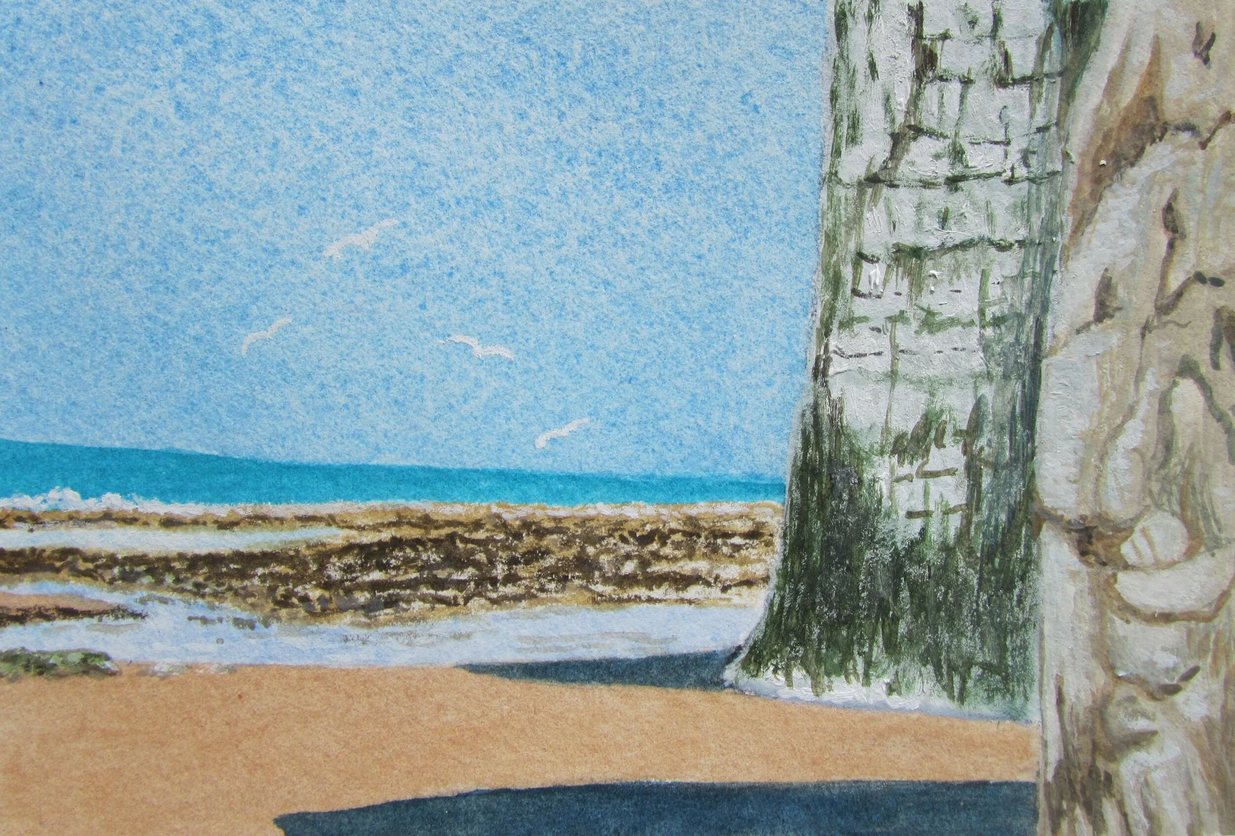 Botany Bay with seagulls, Broadstairs, Kent