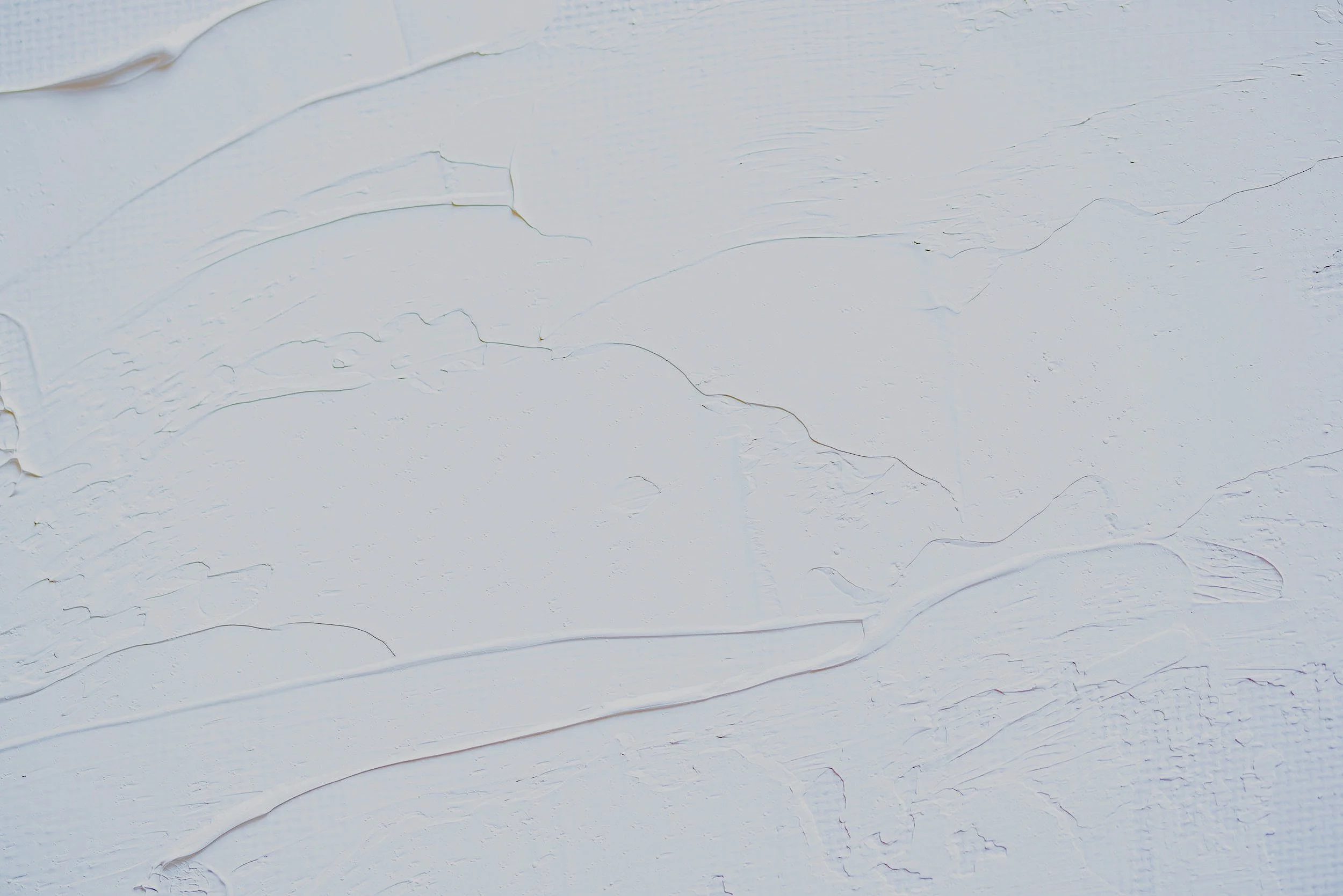 white+background.jpg
