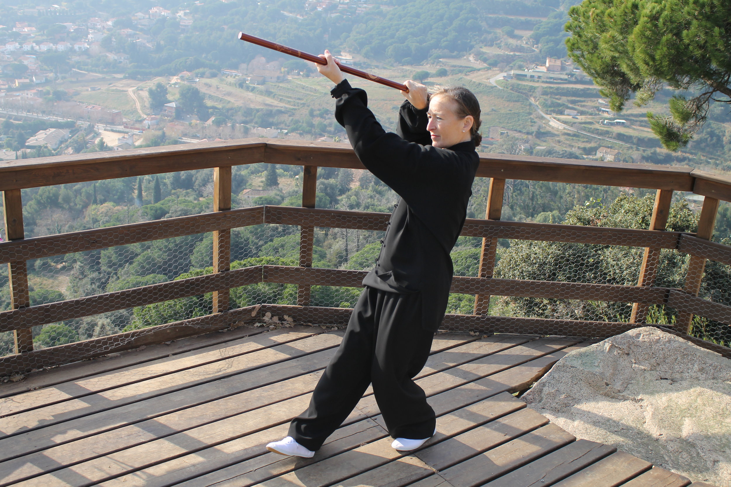 QIGONG REMEI SATVAS.JPG