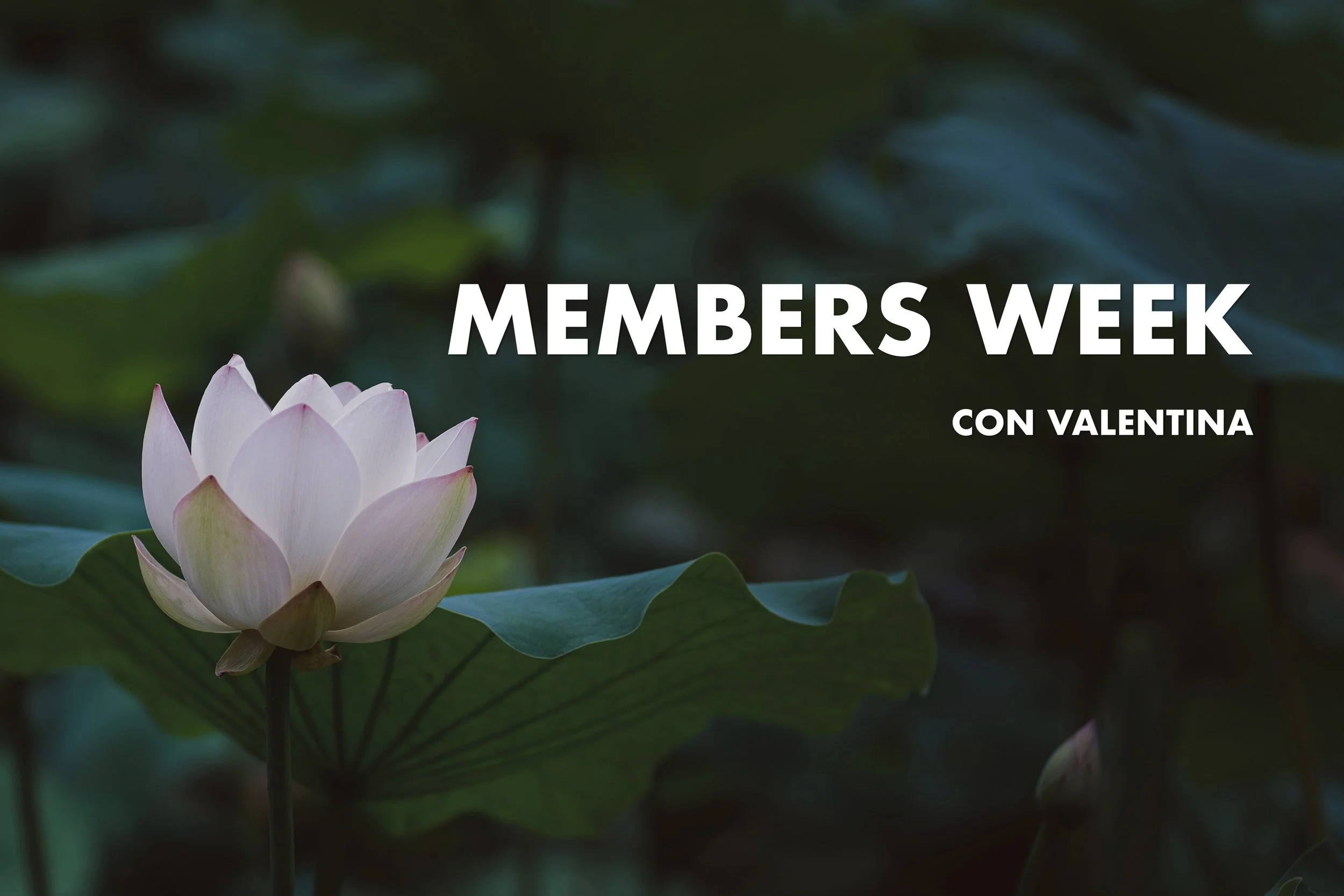 Members Week