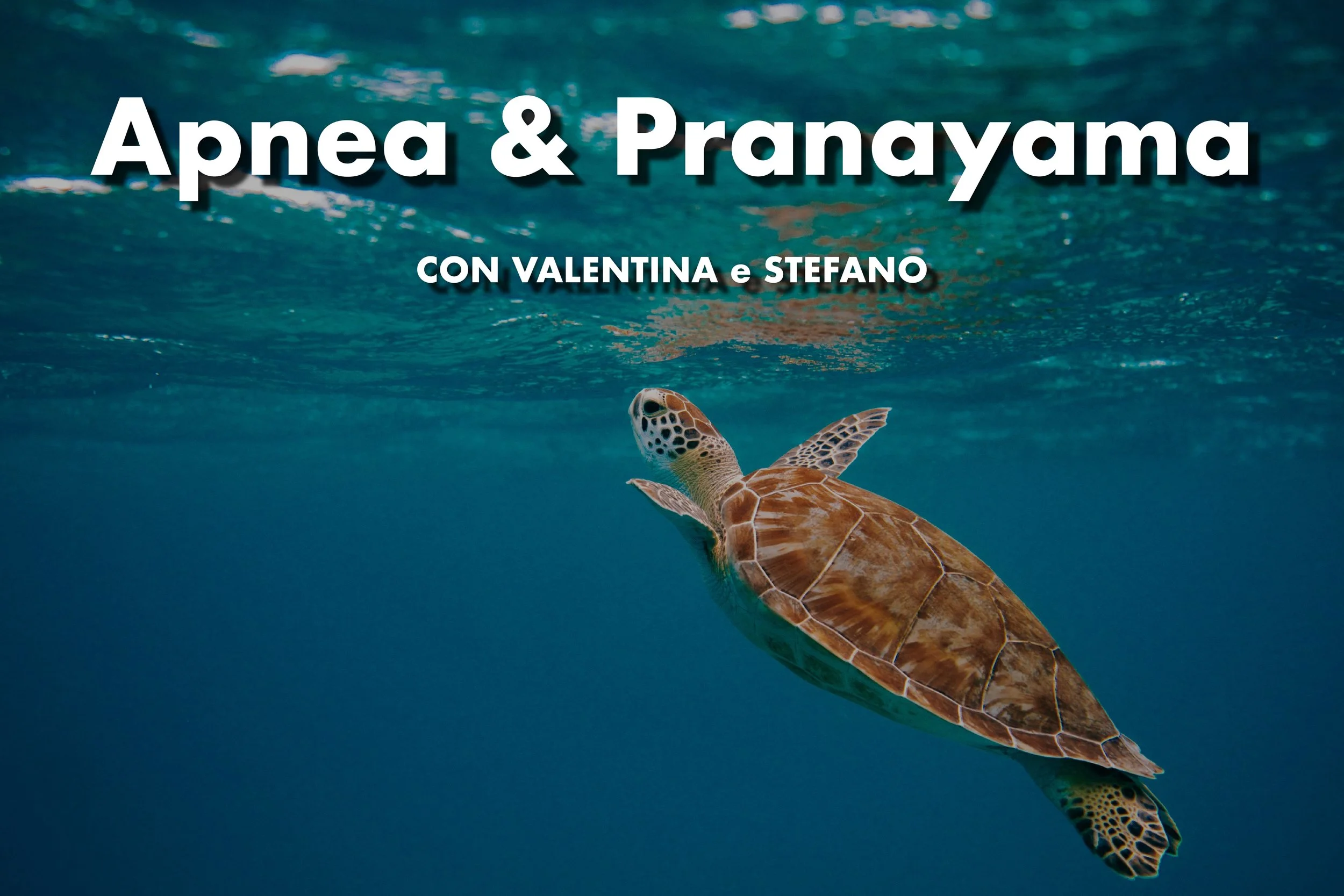 Apnea &amp; Pranayama: respirare in profondità