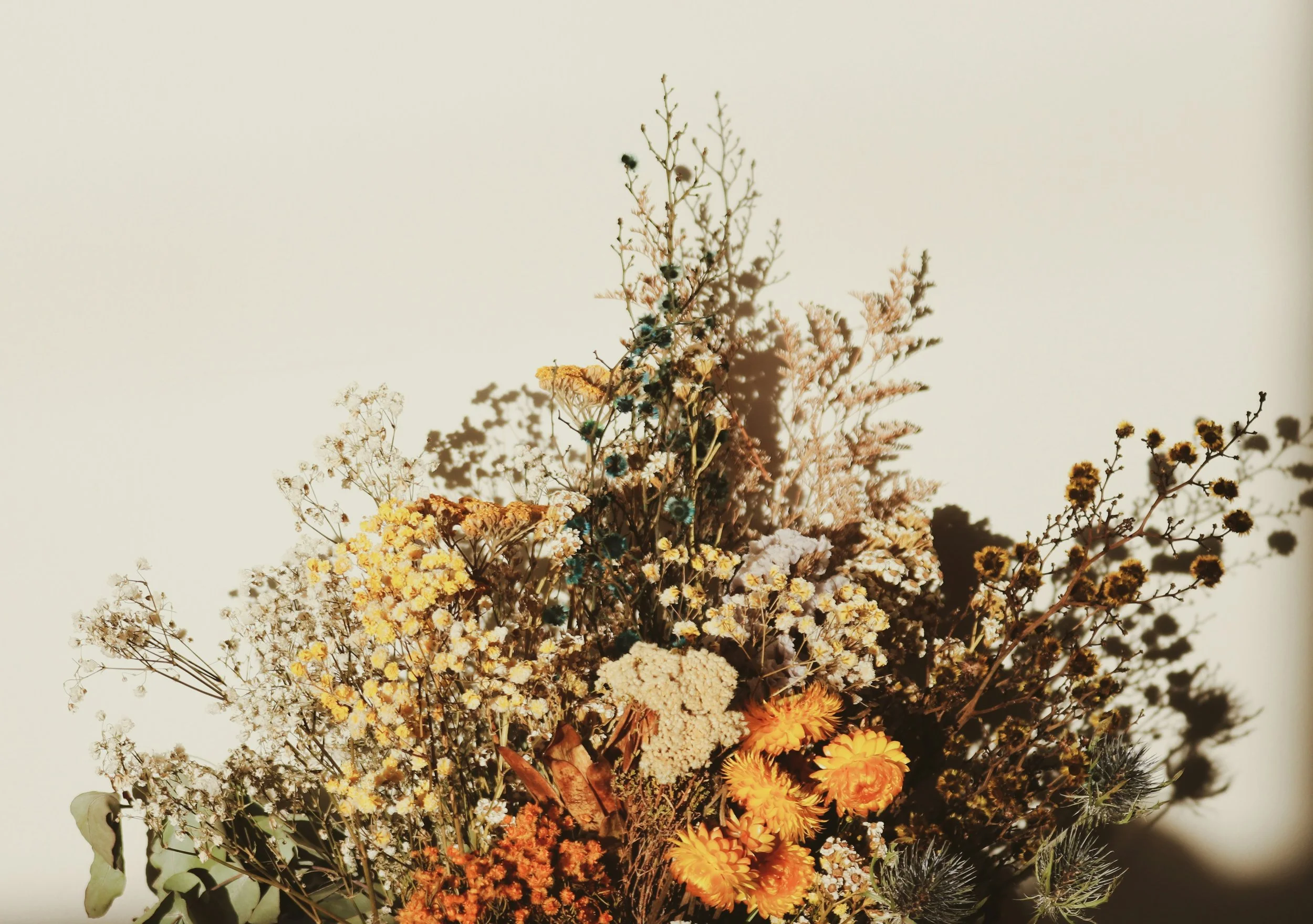 auguste-a-hybQzJoCJqY-unsplash.jpg