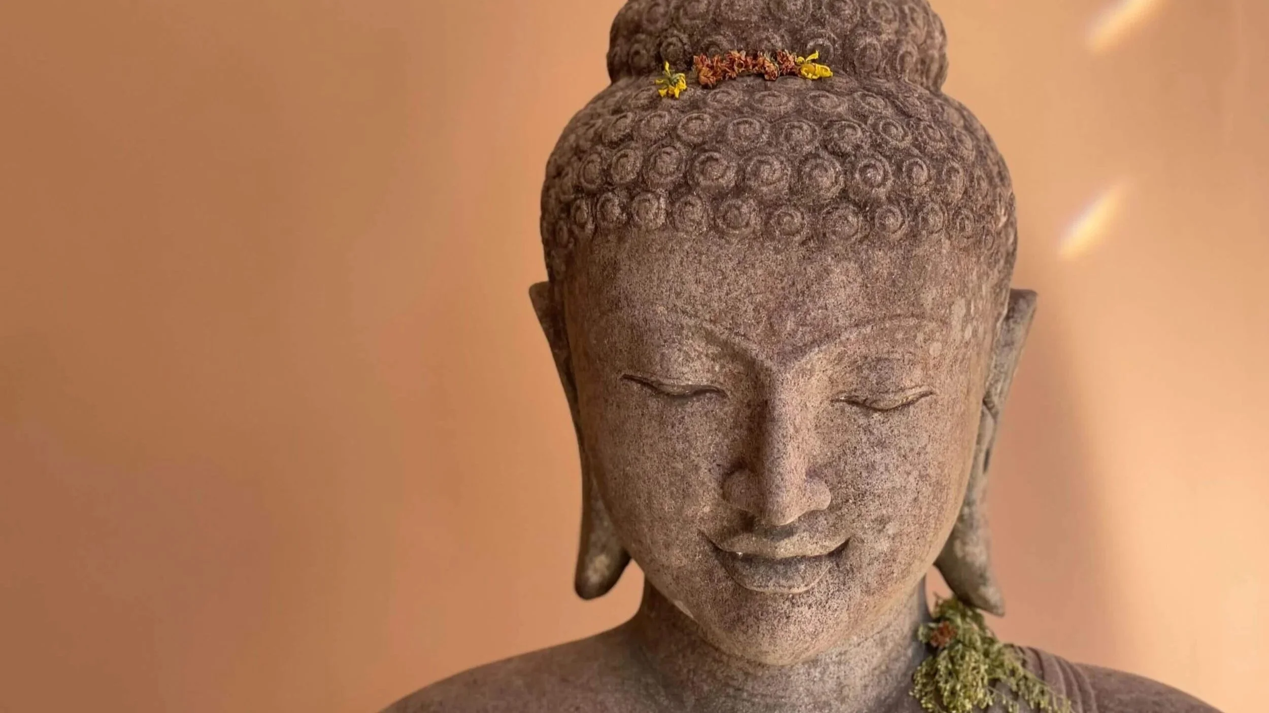 buddha delight arancio.jpg